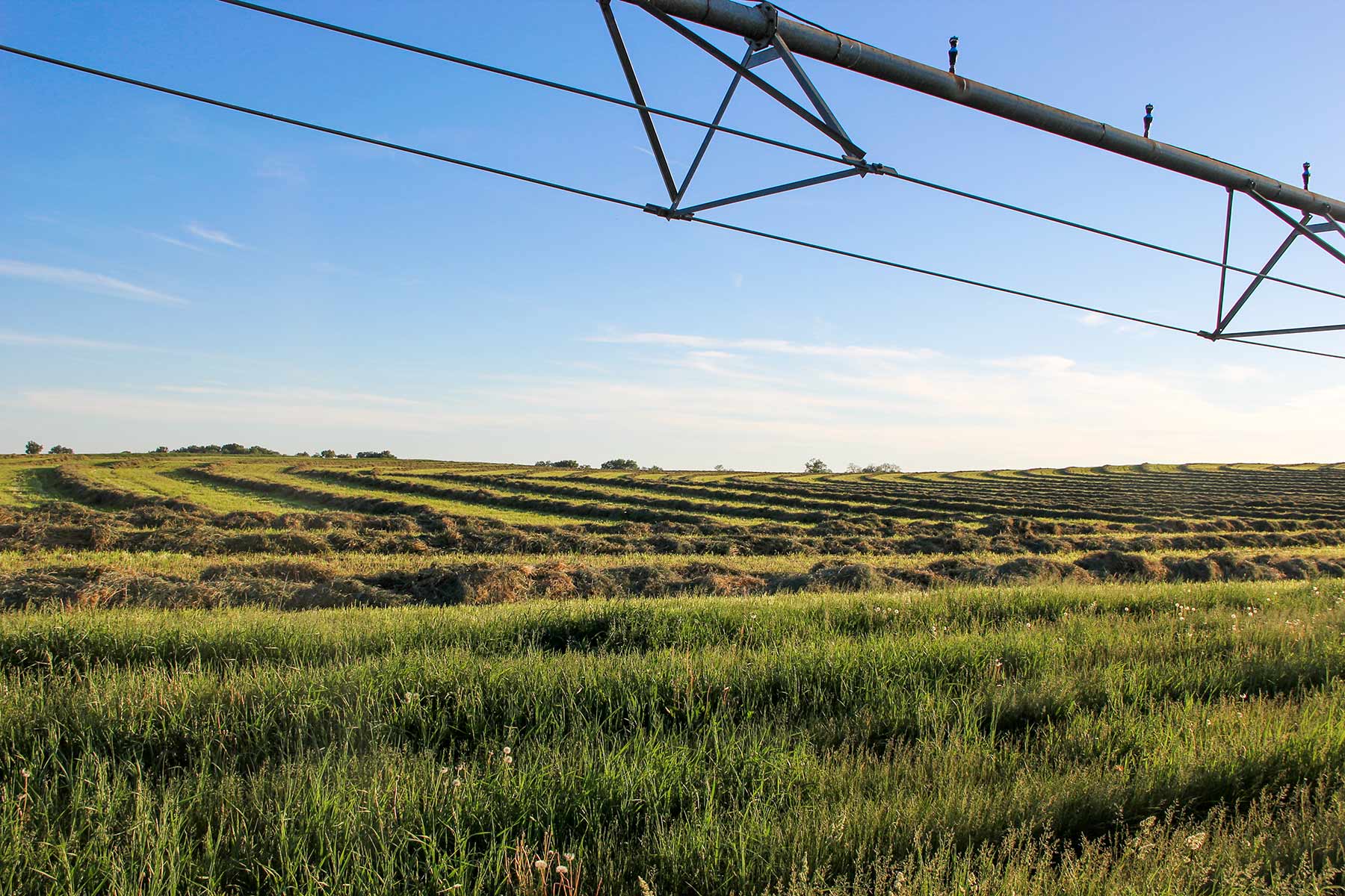 Zeman Farm & Ranch property picture 33 of 84