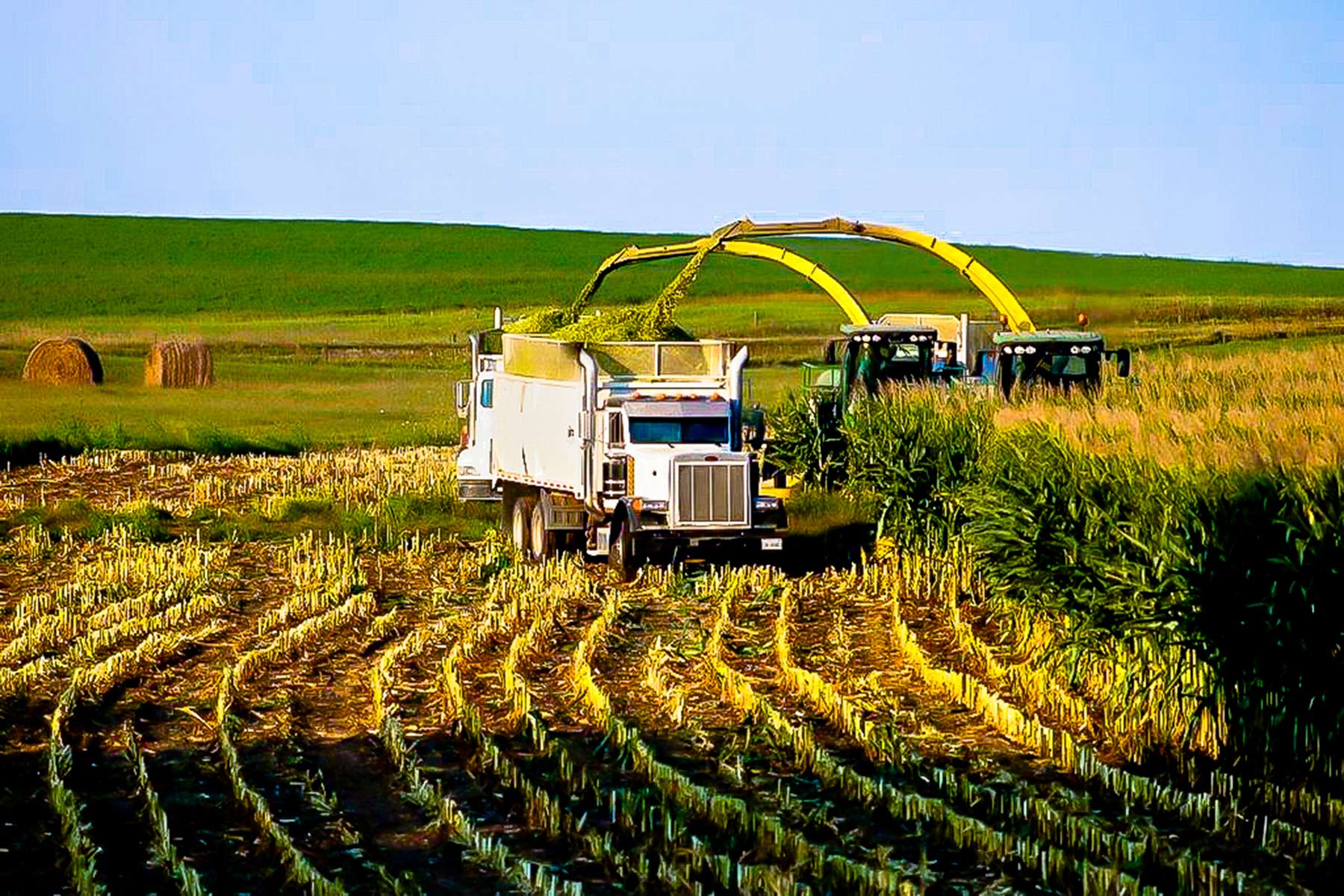 Zeman Farm & Ranch property picture 72 of 84