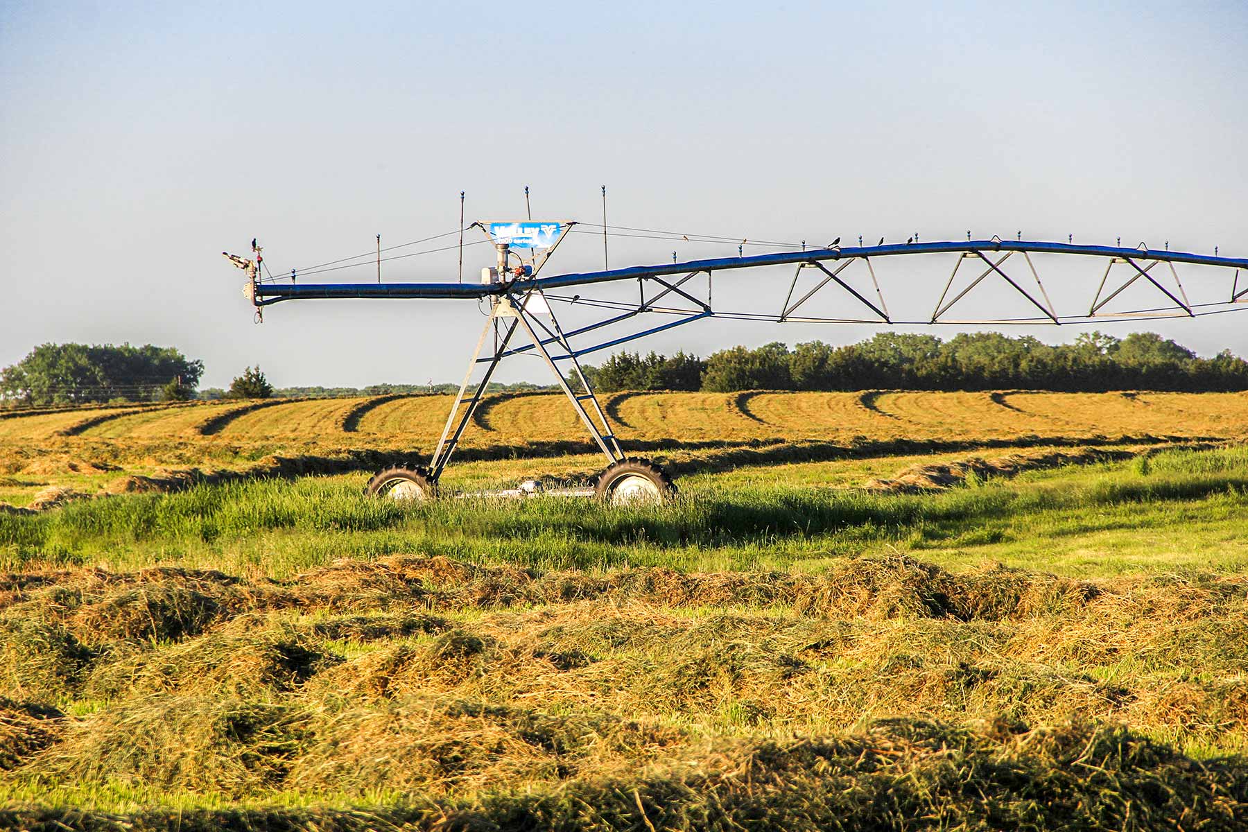 Zeman Farm & Ranch property picture 35 of 84