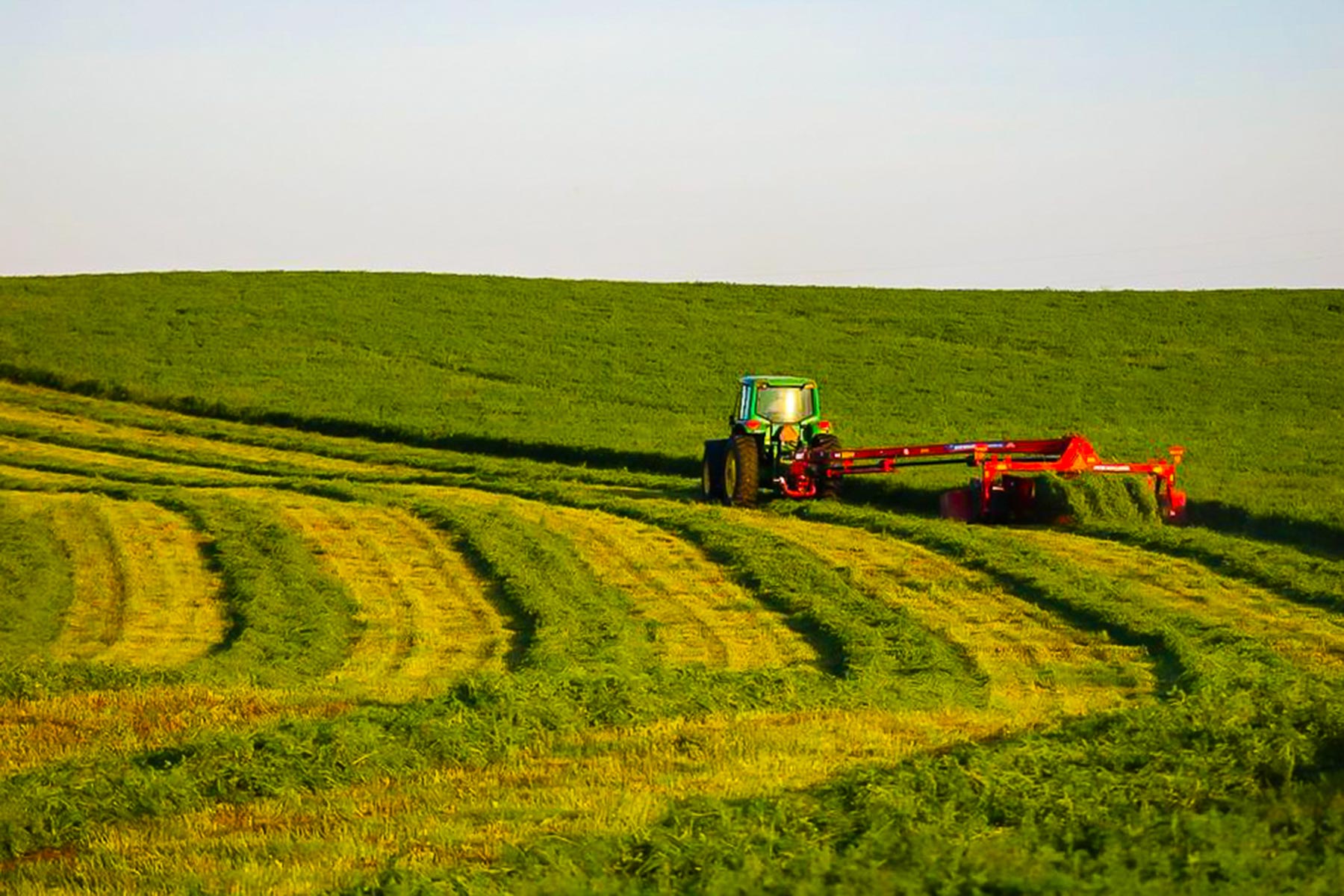 Zeman Farm & Ranch property picture 71 of 84