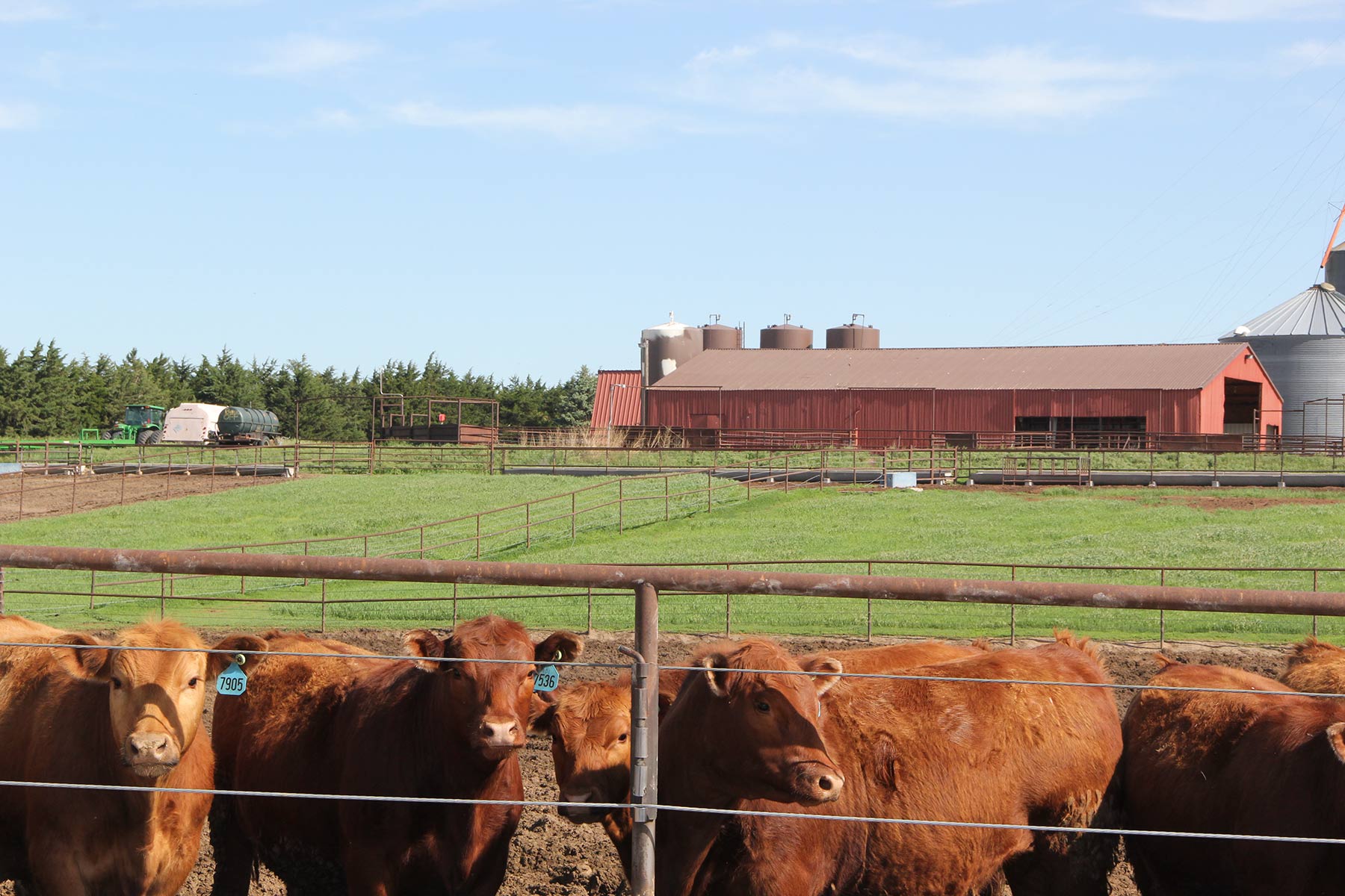 Zeman Farm & Ranch property picture 23 of 84