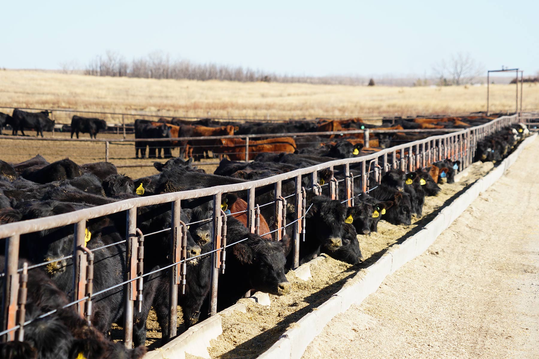 Zeman Farm & Ranch property picture 80 of 84