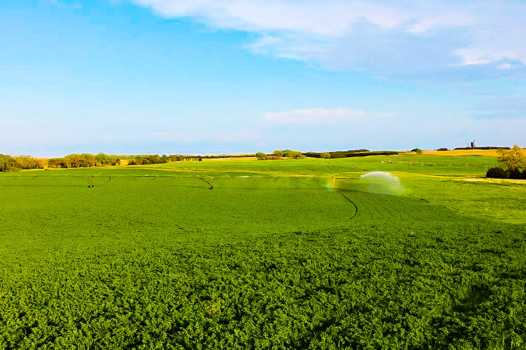 Zeman Farm & Ranch property picture 69 of 84