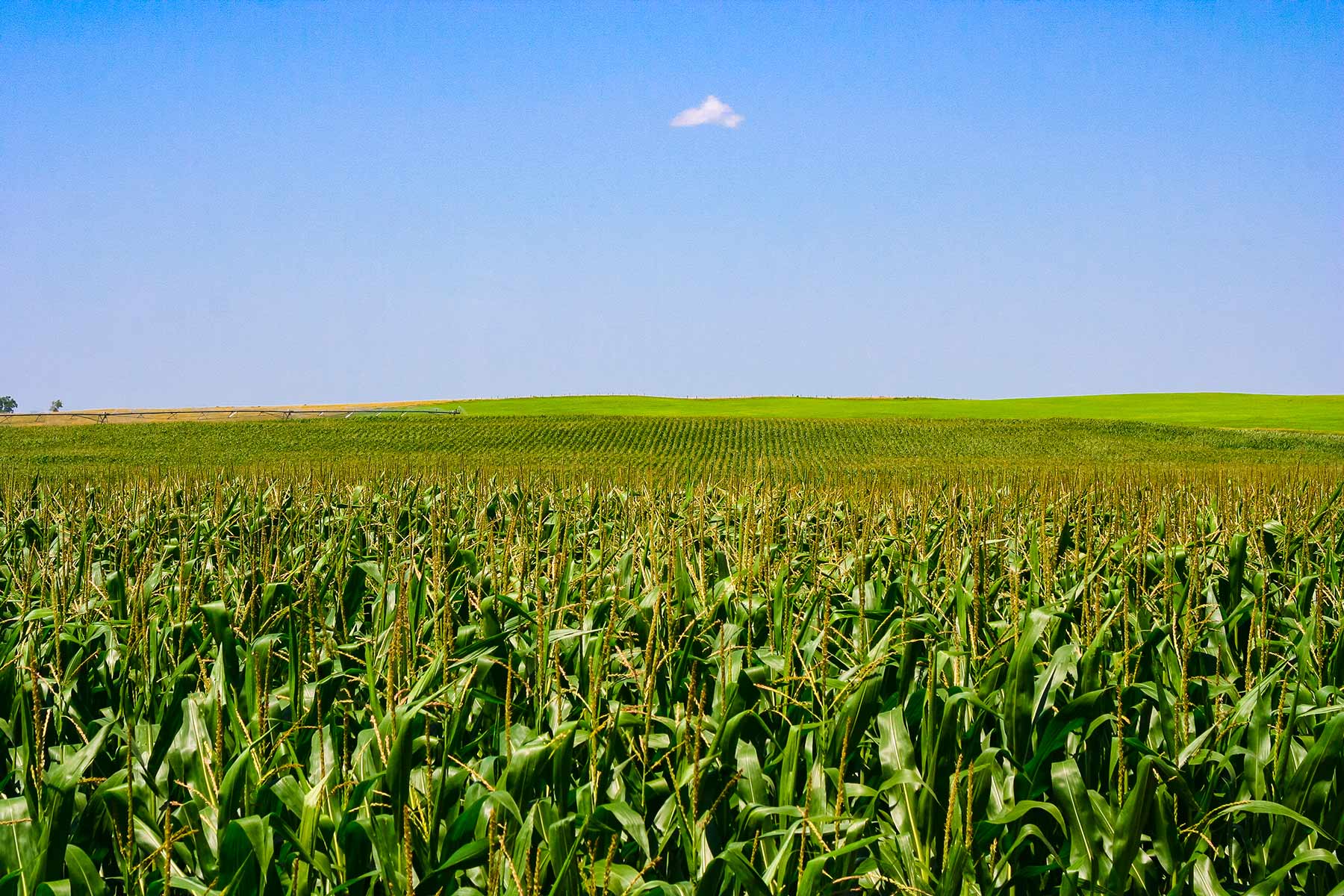 Zeman Farm & Ranch property picture 54 of 84