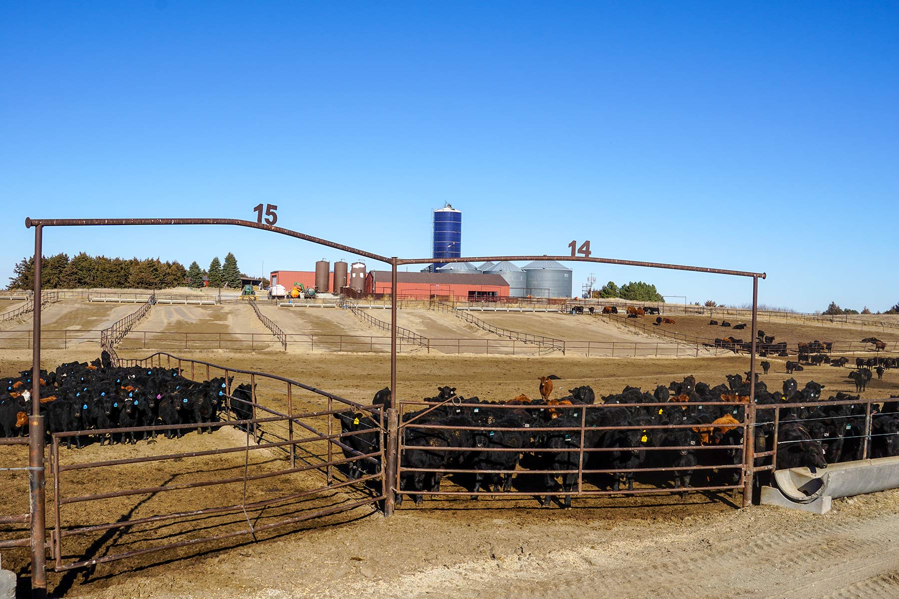 Zeman Farm & Ranch property picture 81 of 84