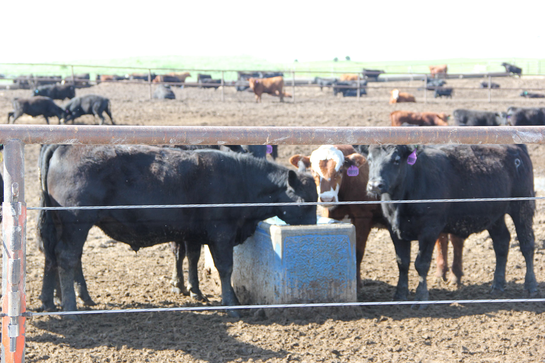 Zeman Farm & Ranch property picture 19 of 84