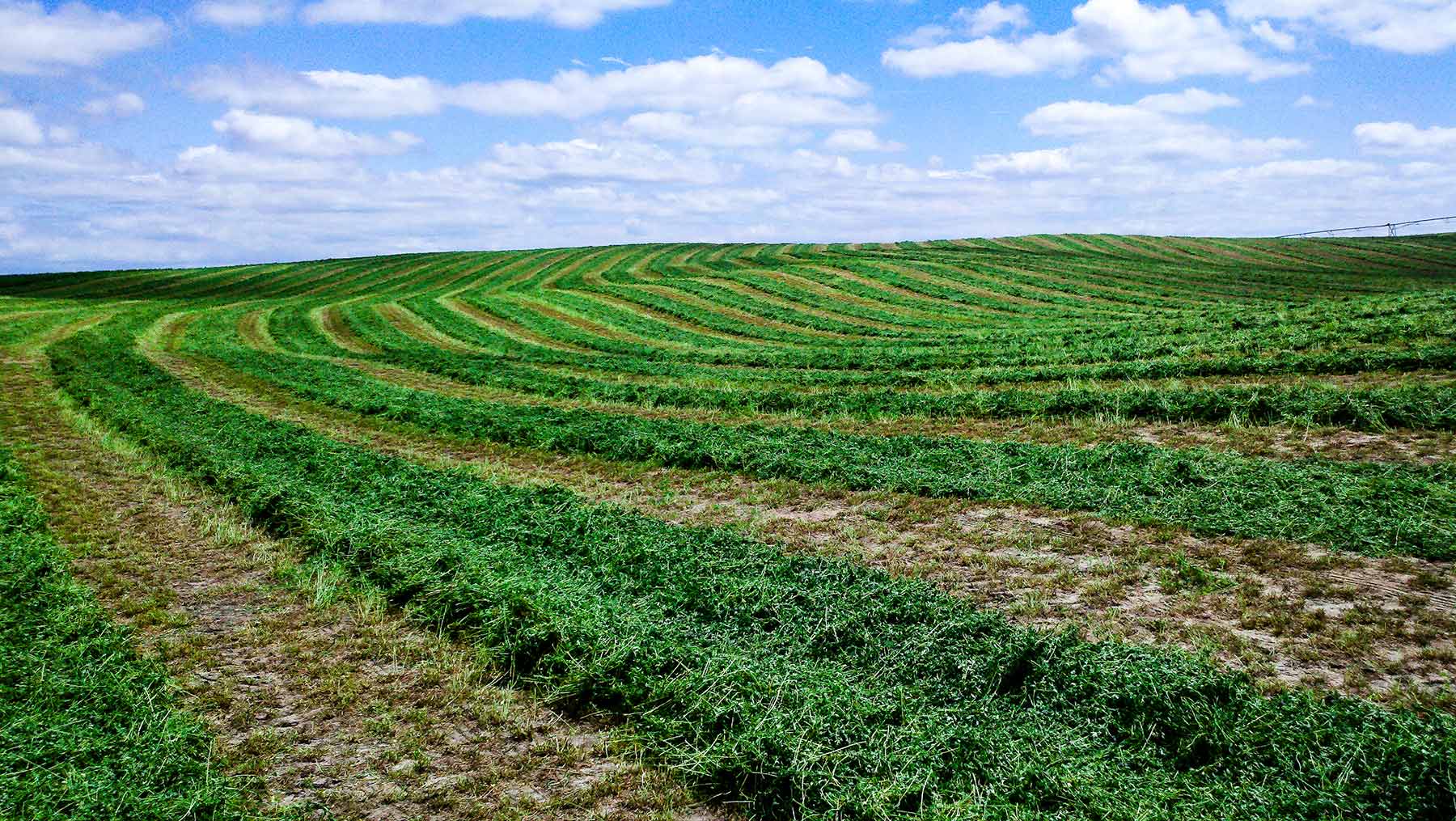 Zeman Farm & Ranch property picture 50 of 84