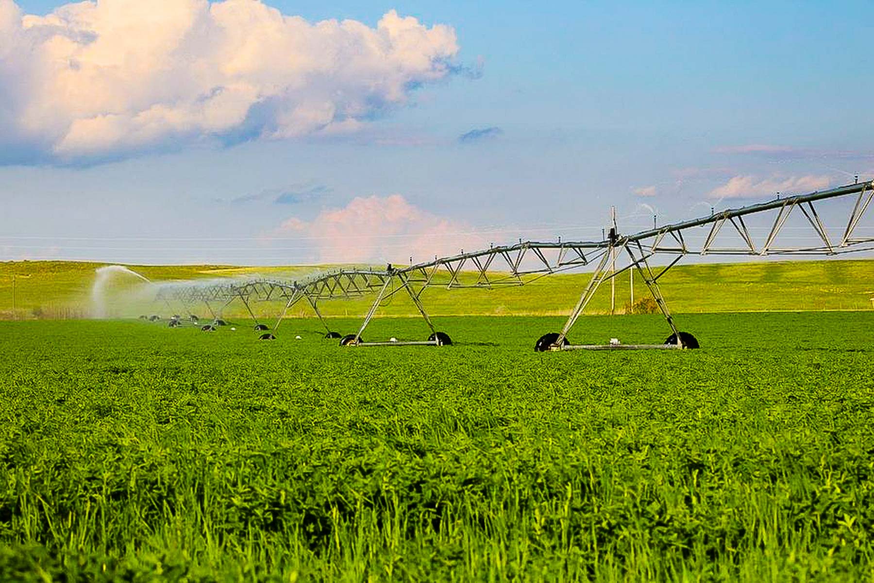 Zeman Farm & Ranch property picture 70 of 84