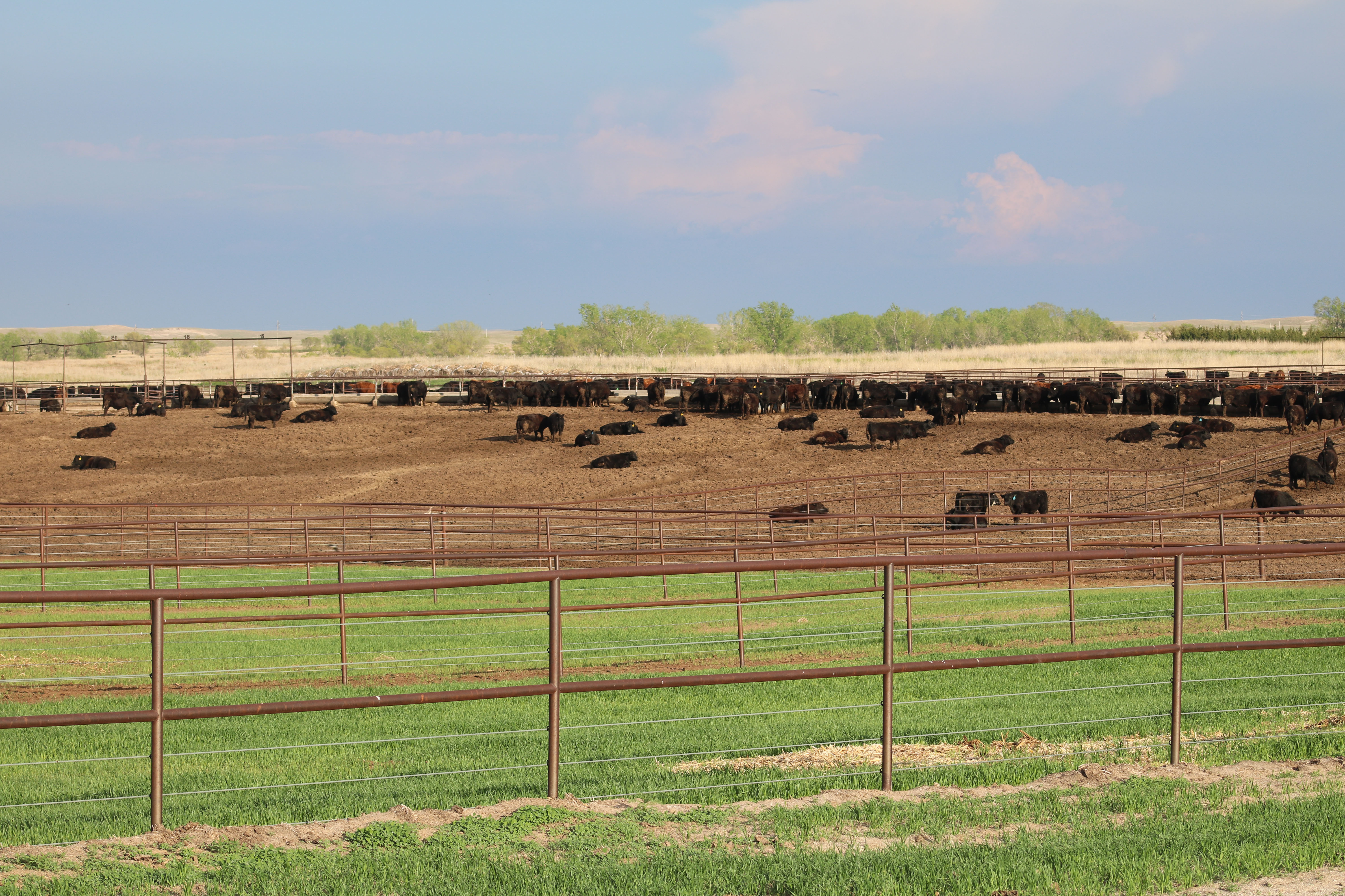 Zeman Farm & Ranch property picture 2 of 84