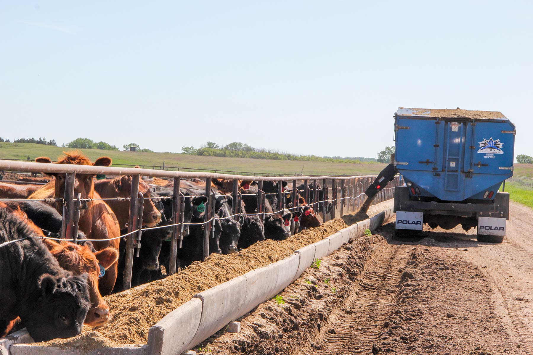 Zeman Farm & Ranch property picture 21 of 84