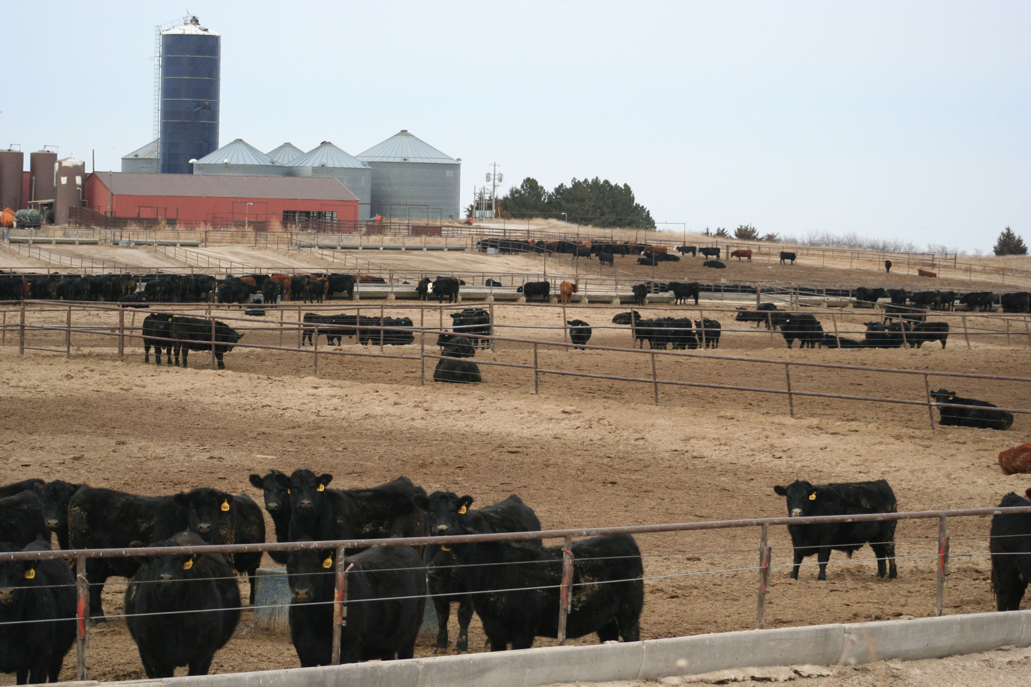 Zeman Farm & Ranch property picture 5 of 84