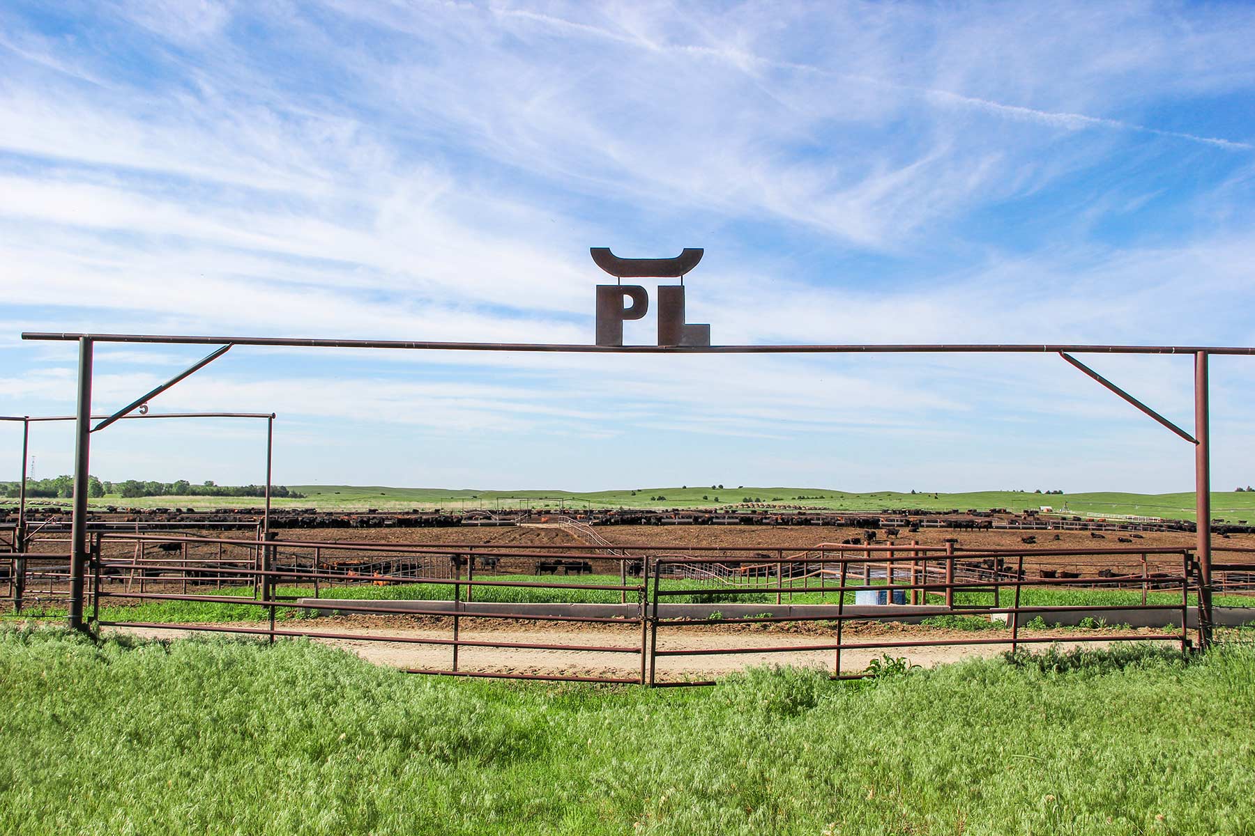 Zeman Farm & Ranch property picture 14 of 84