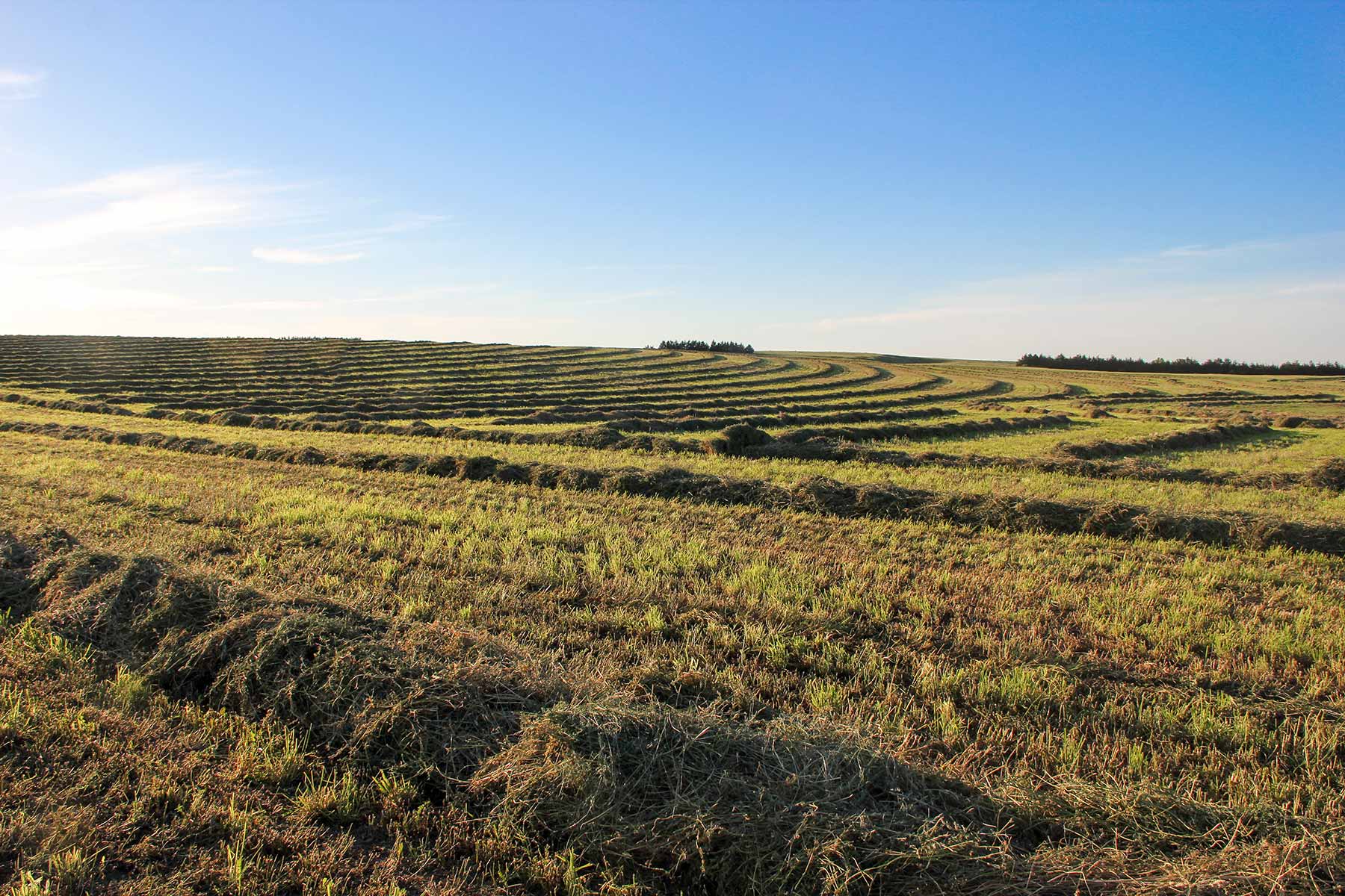 Zeman Farm & Ranch property picture 34 of 84