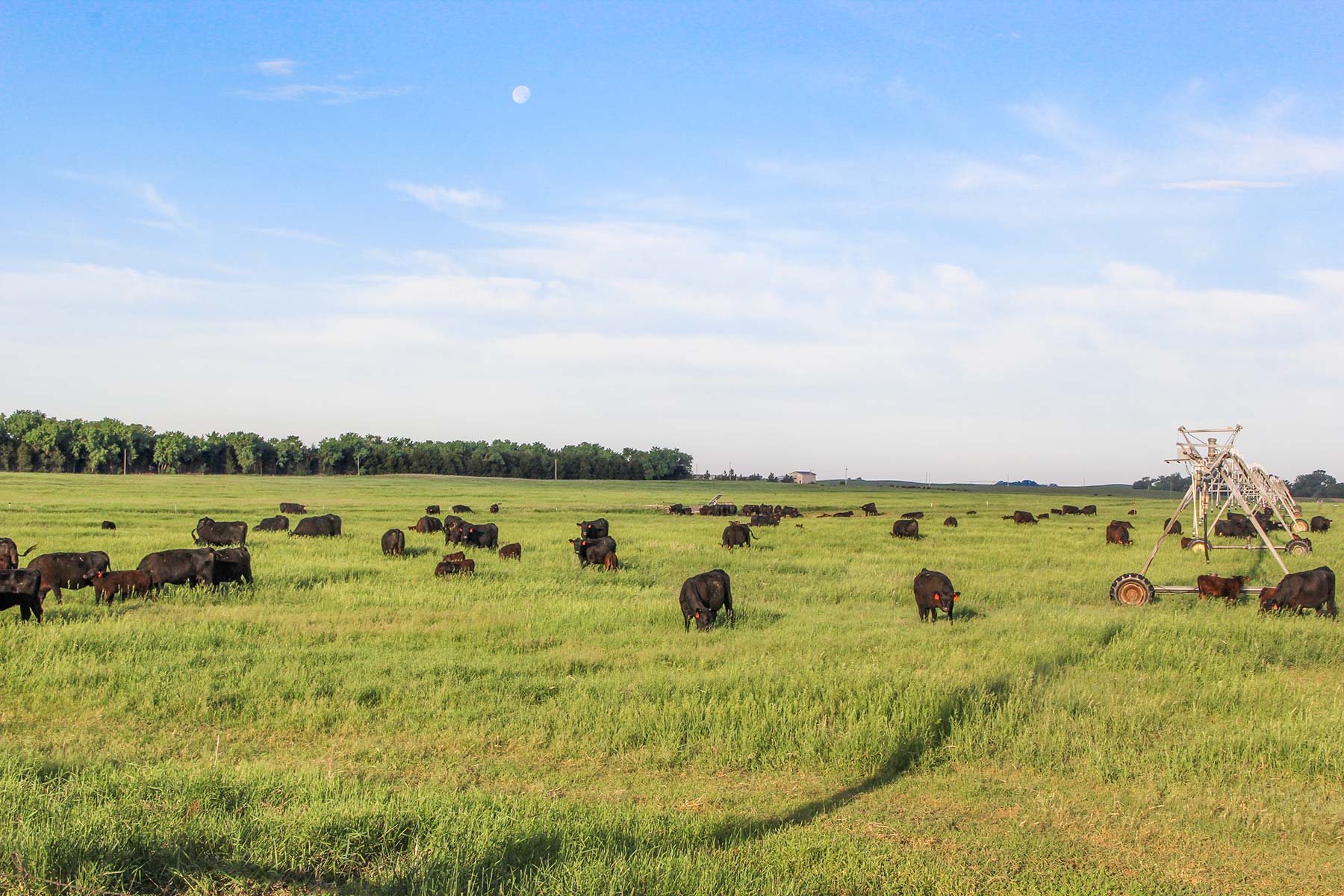 Zeman Farm & Ranch property picture 38 of 84