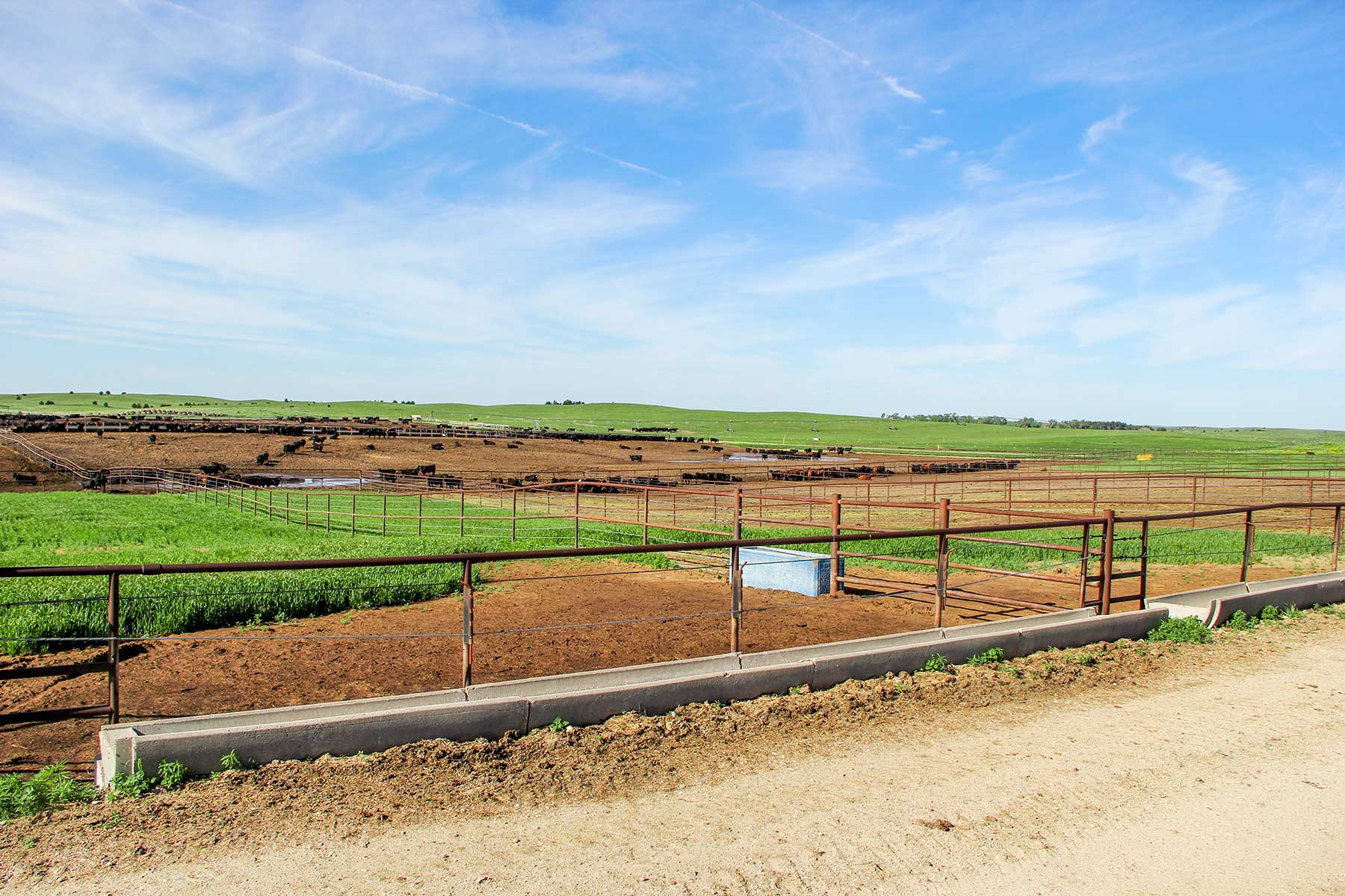 Zeman Farm & Ranch property picture 15 of 84