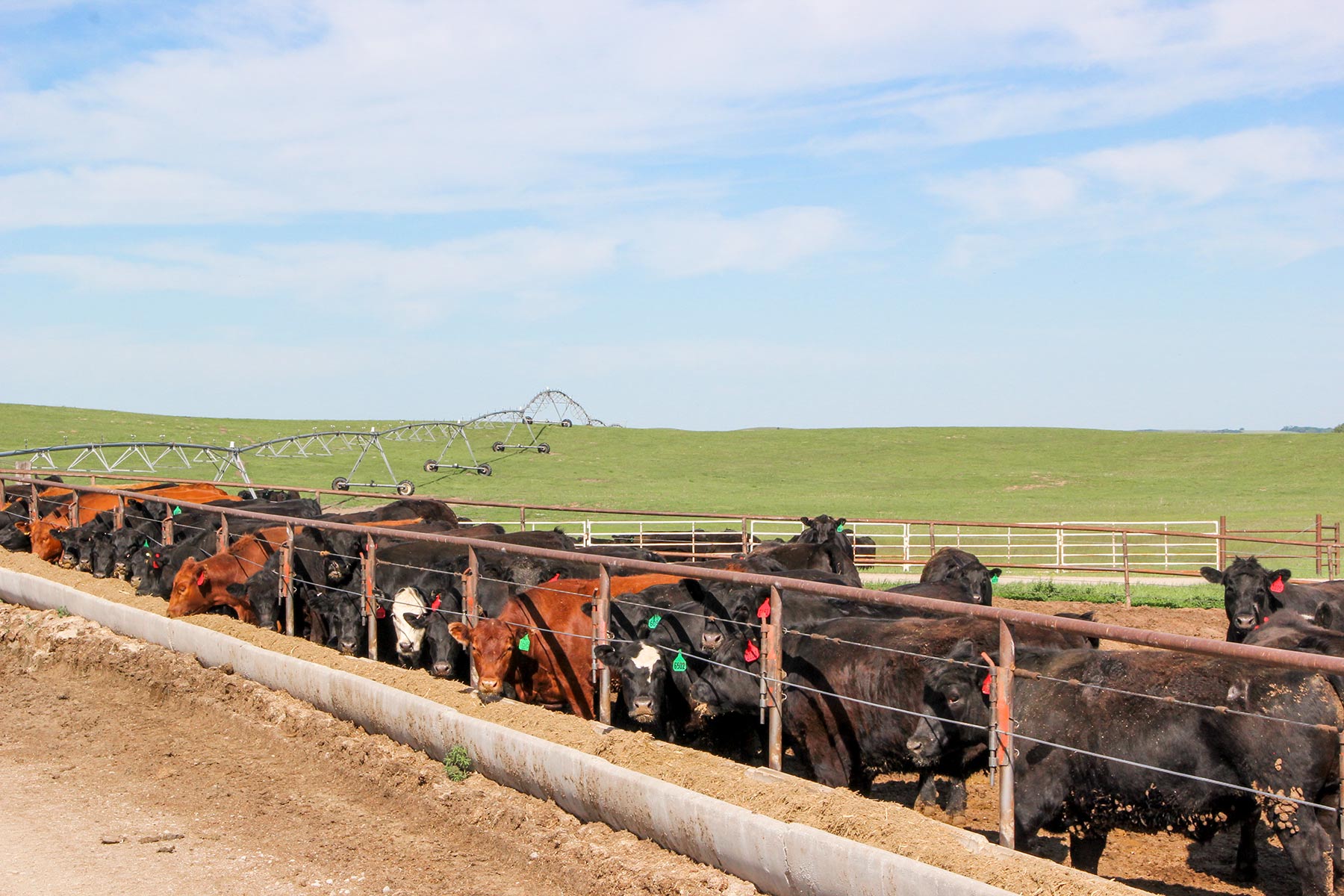 Zeman Farm & Ranch property picture 22 of 84