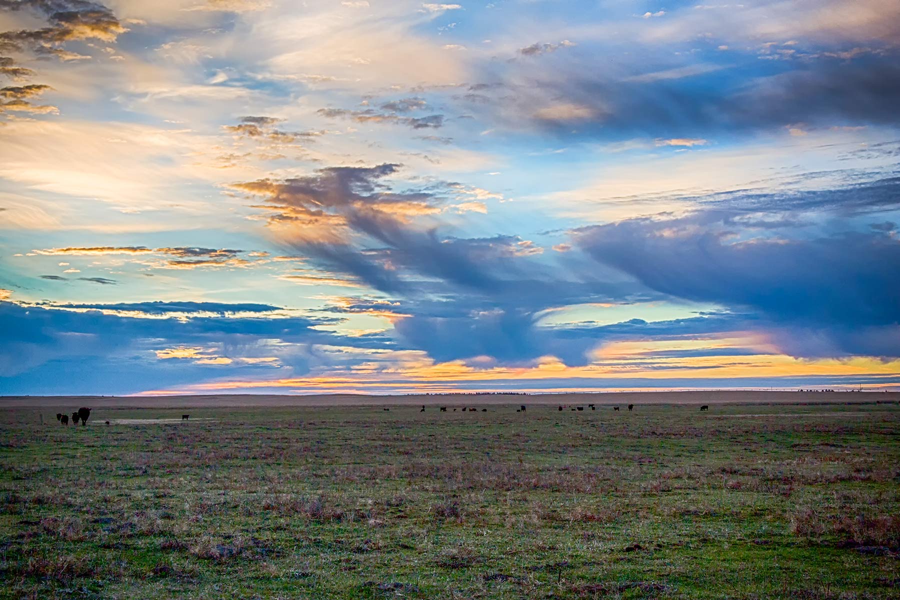 Zeman Farm & Ranch property picture 13 of 84