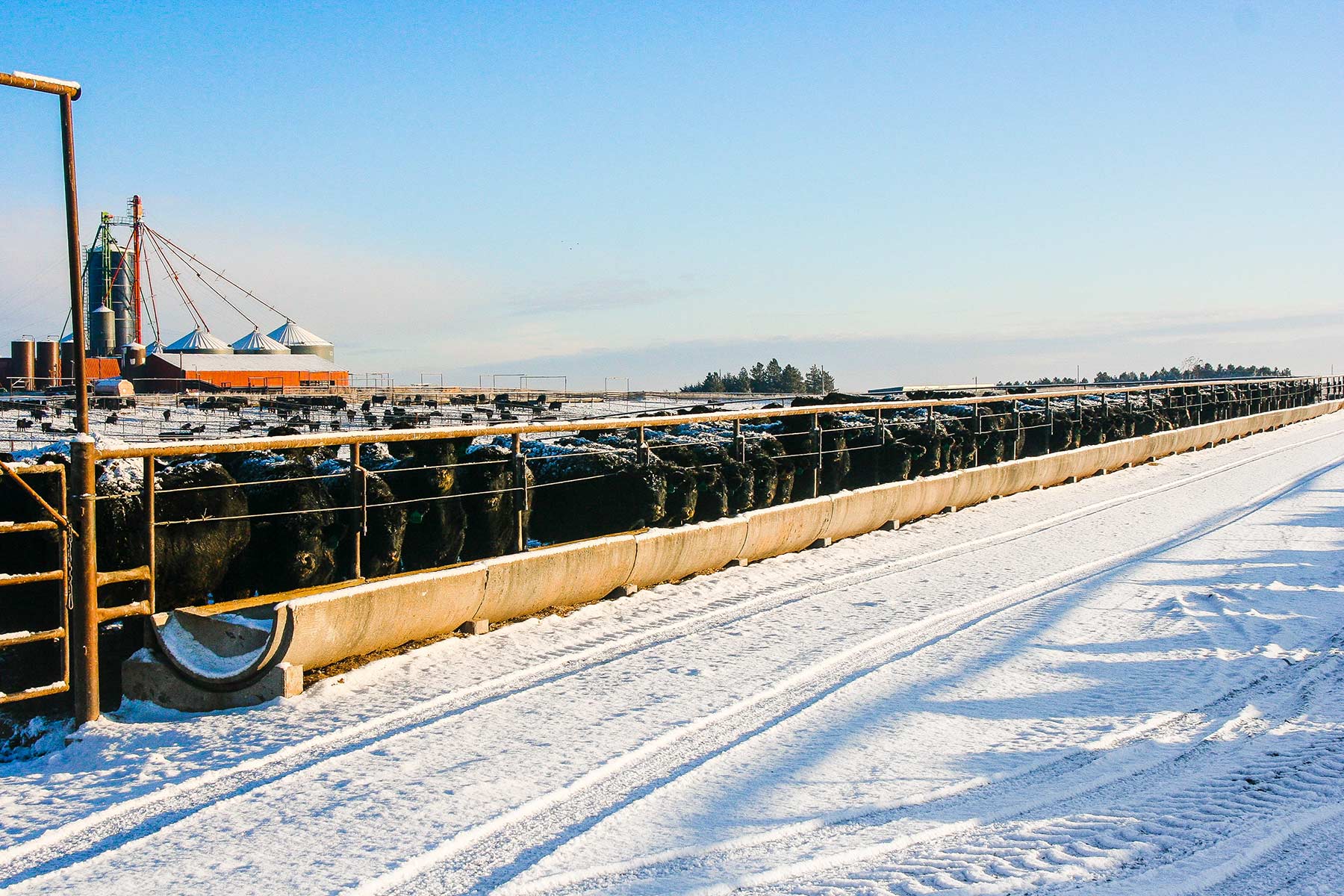 Zeman Farm & Ranch property picture 65 of 84