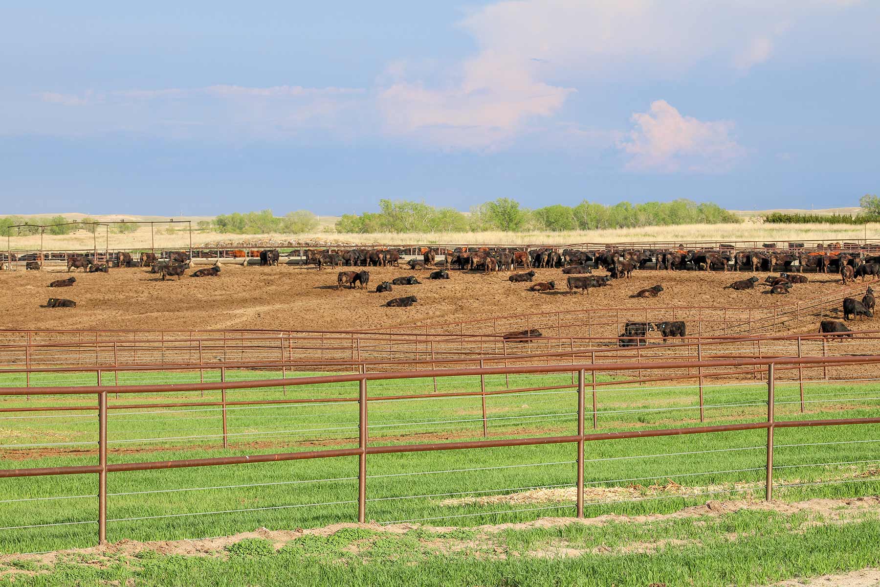 Zeman Farm & Ranch property picture 45 of 84