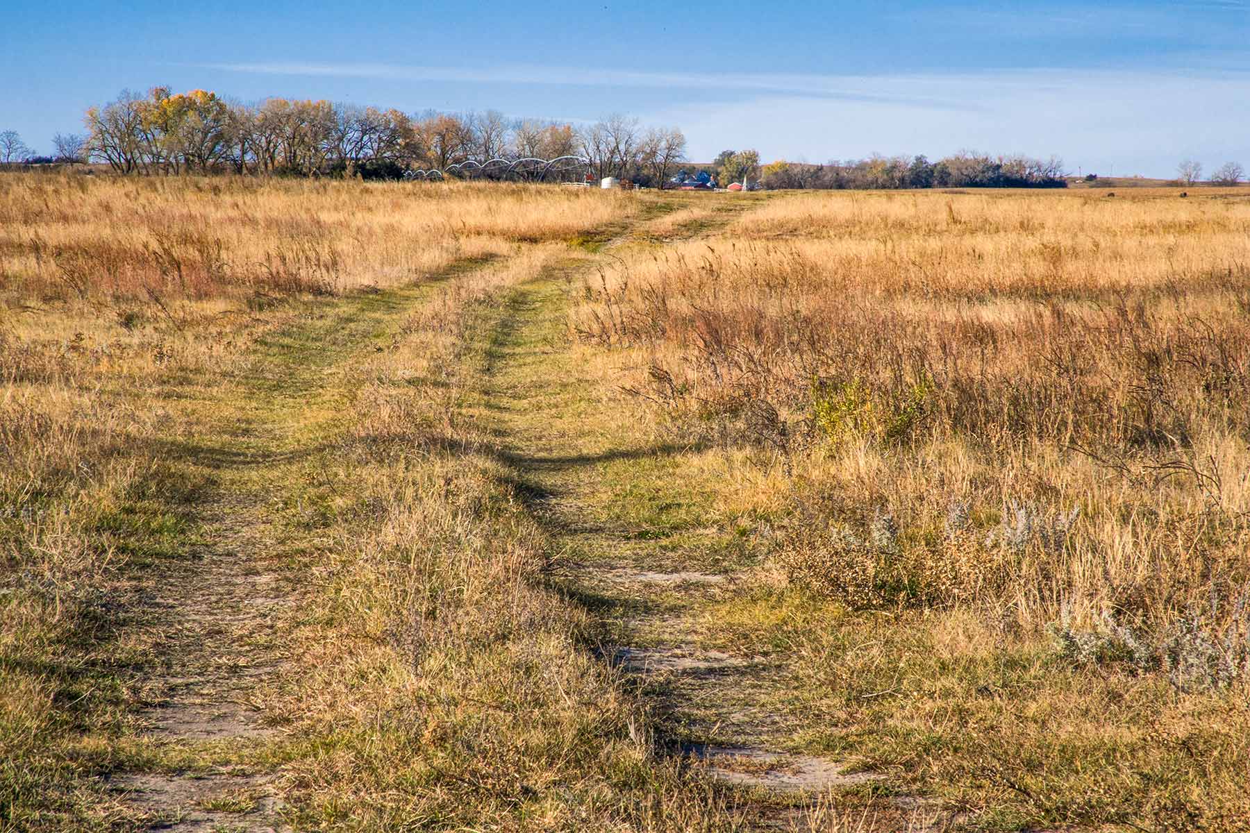 Zeman Farm & Ranch property picture 6 of 84