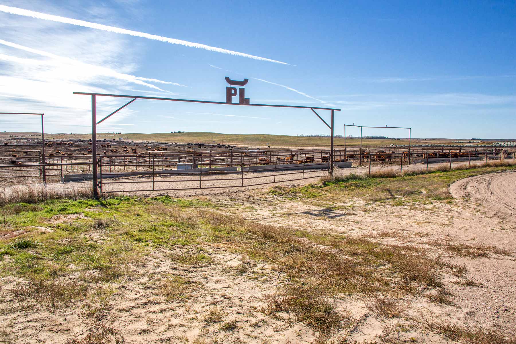 Zeman Farm & Ranch property picture 11 of 84