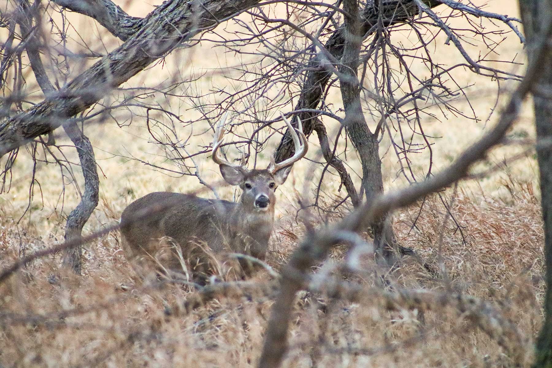 Zeman Farm & Ranch property picture 43 of 84