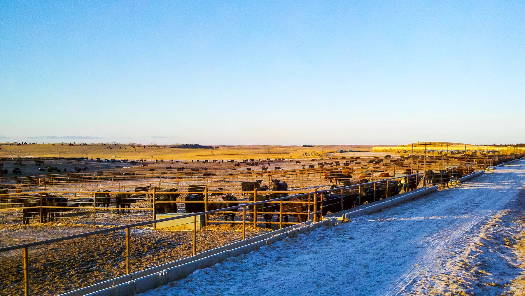 Zeman Farm & Ranch property picture 51 of 84