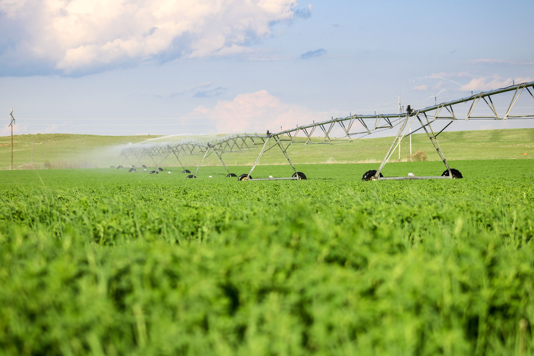 Zeman Farm & Ranch property picture 44 of 84