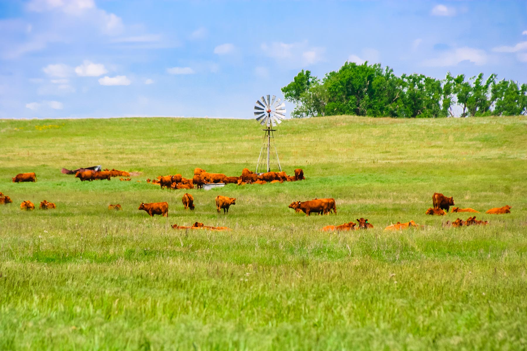 Zeman Farm & Ranch property picture 57 of 84