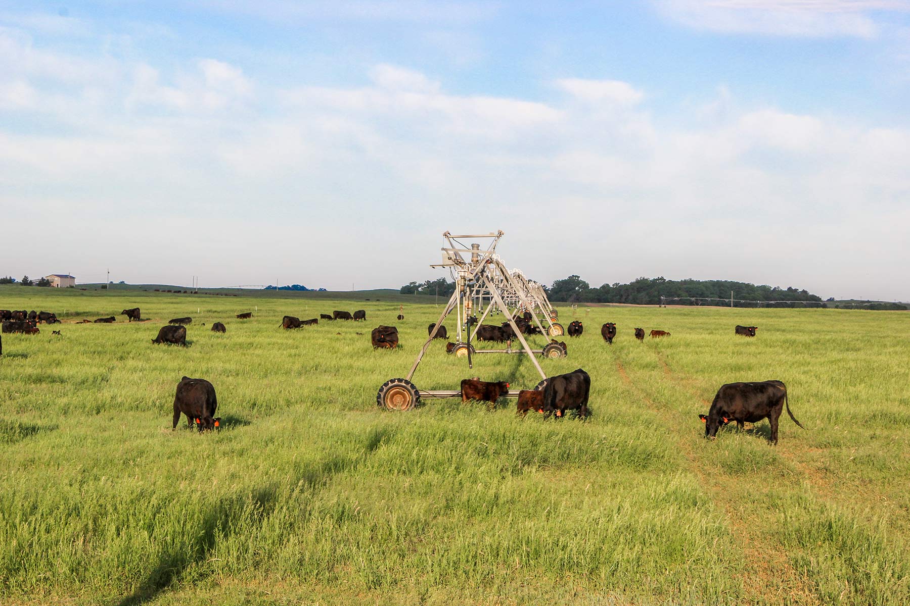 Zeman Farm & Ranch property picture 37 of 84