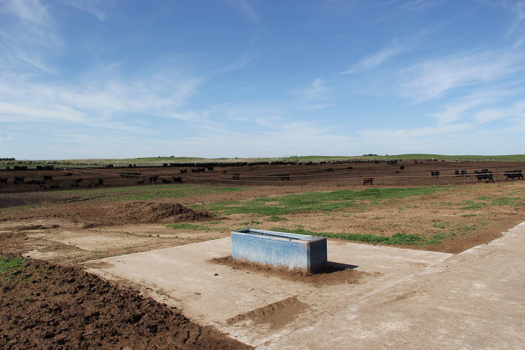 Zeman Farm & Ranch property picture 25 of 84