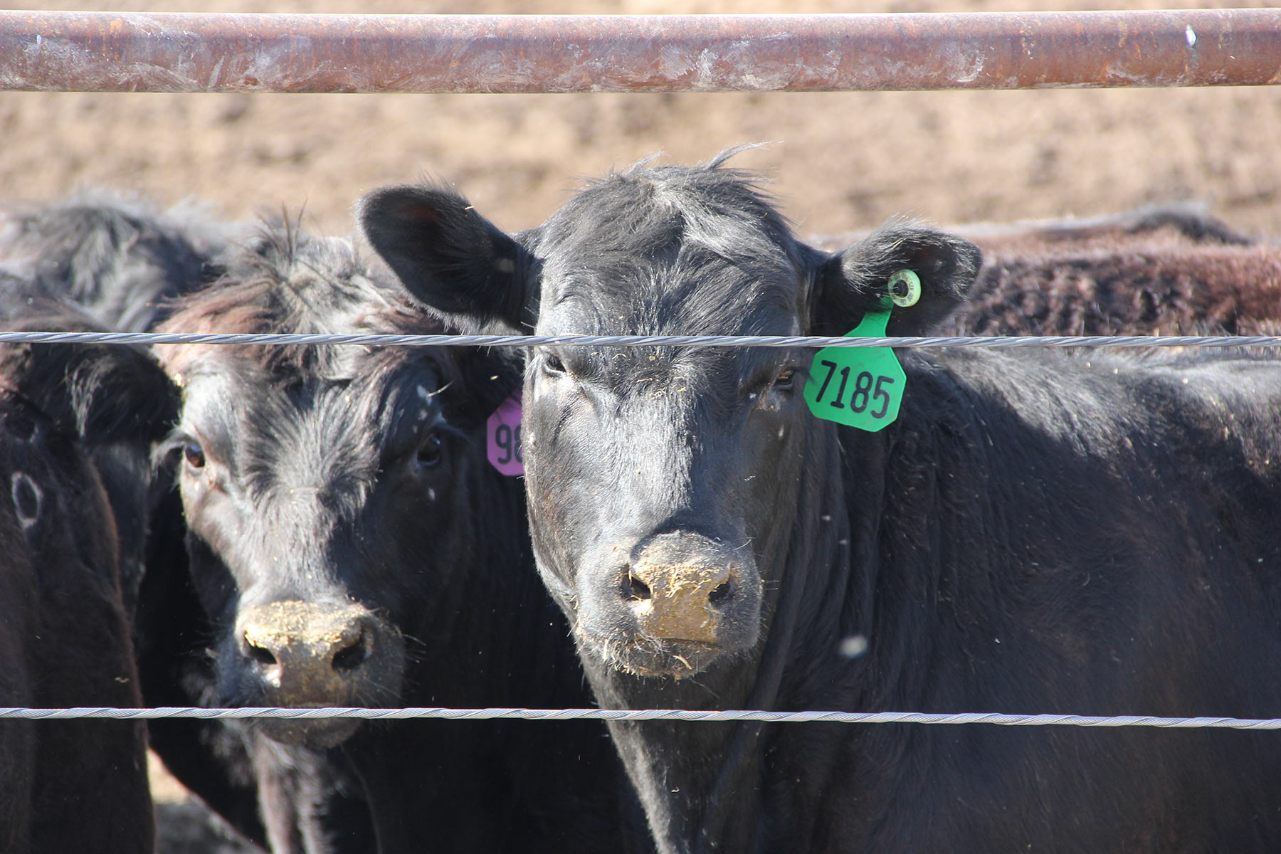 Zeman Farm & Ranch property picture 42 of 84