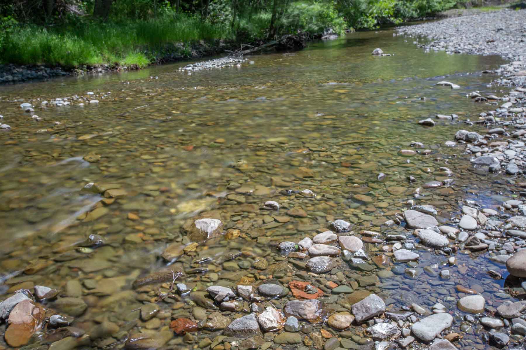 Lone Pine Ranch property picture 94 of 100