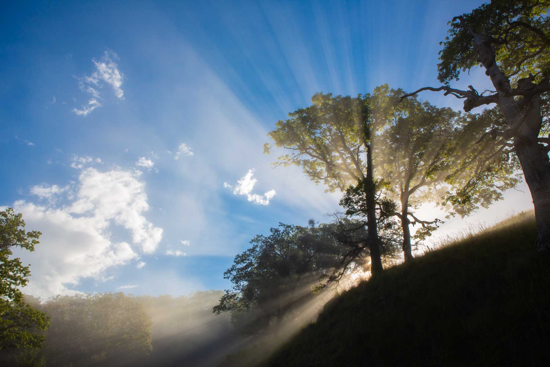 Lone Pine Ranch property picture 8 of 100