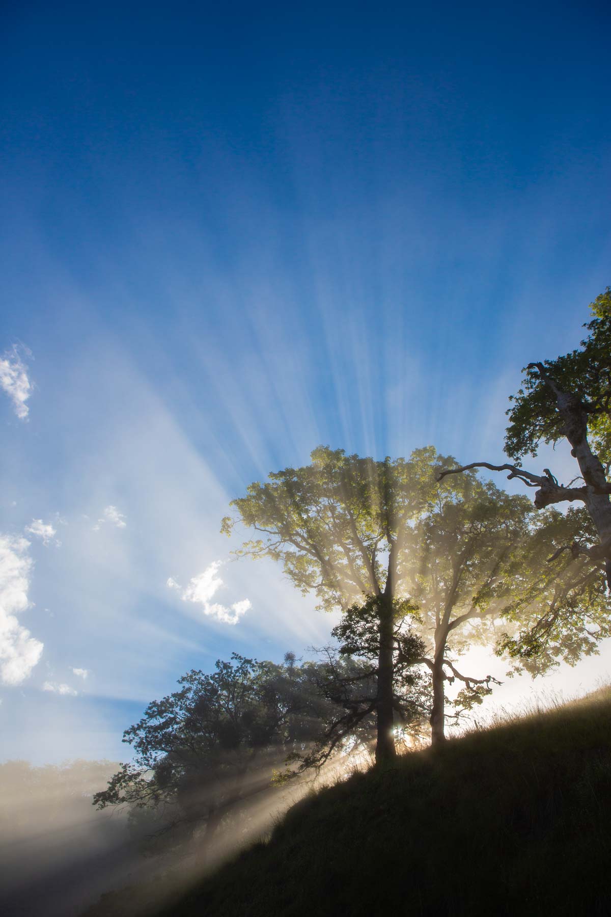 Lone Pine Ranch property picture 36 of 100