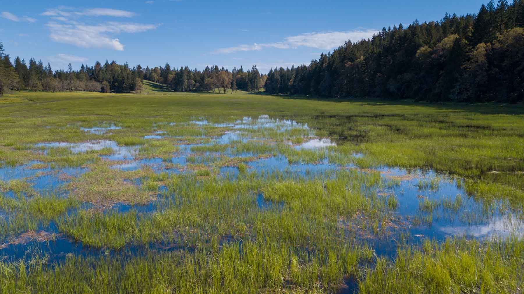 Lone Pine Ranch property picture 14 of 100