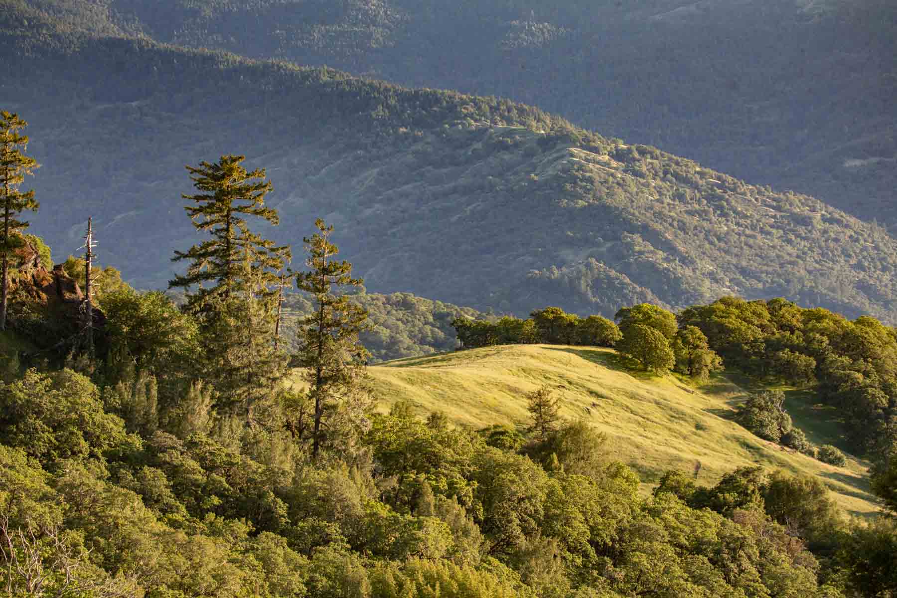 Lone Pine Ranch property picture 4 of 100