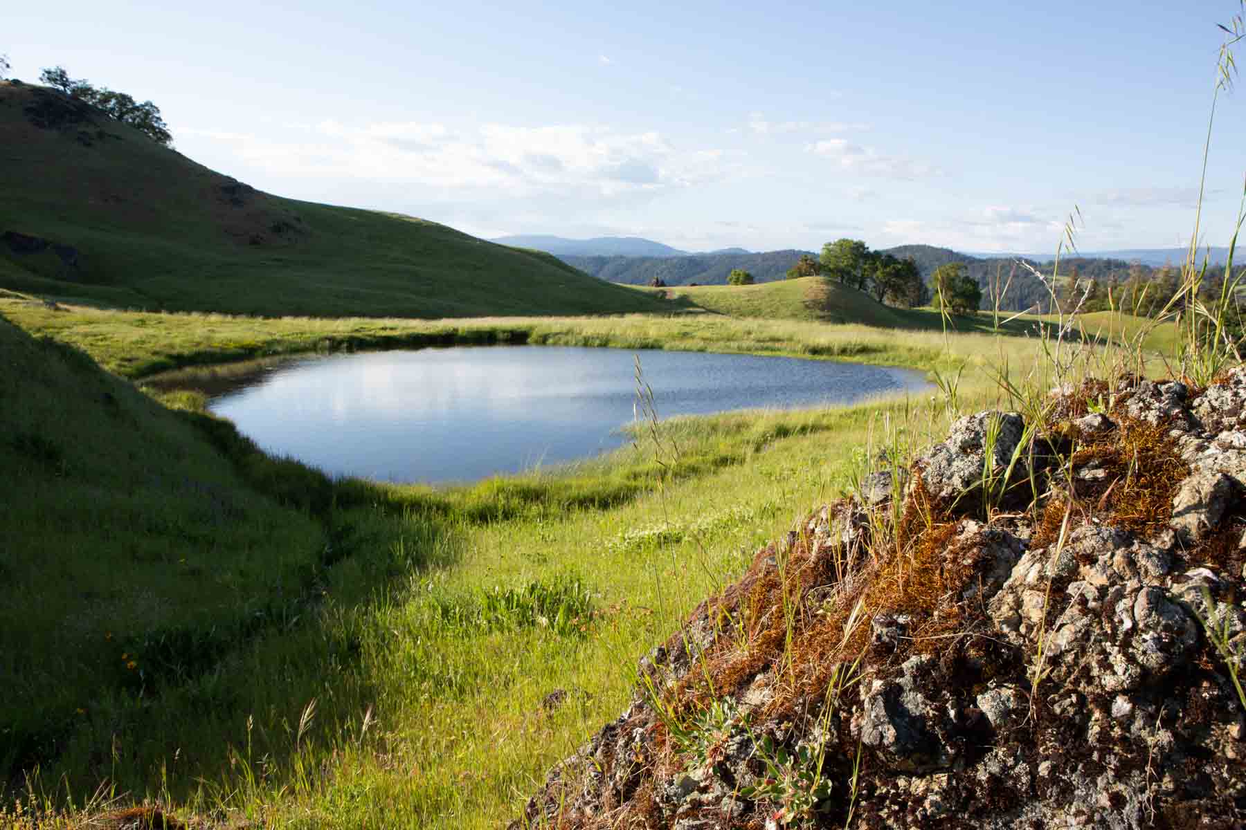 Lone Pine Ranch property picture 15 of 100