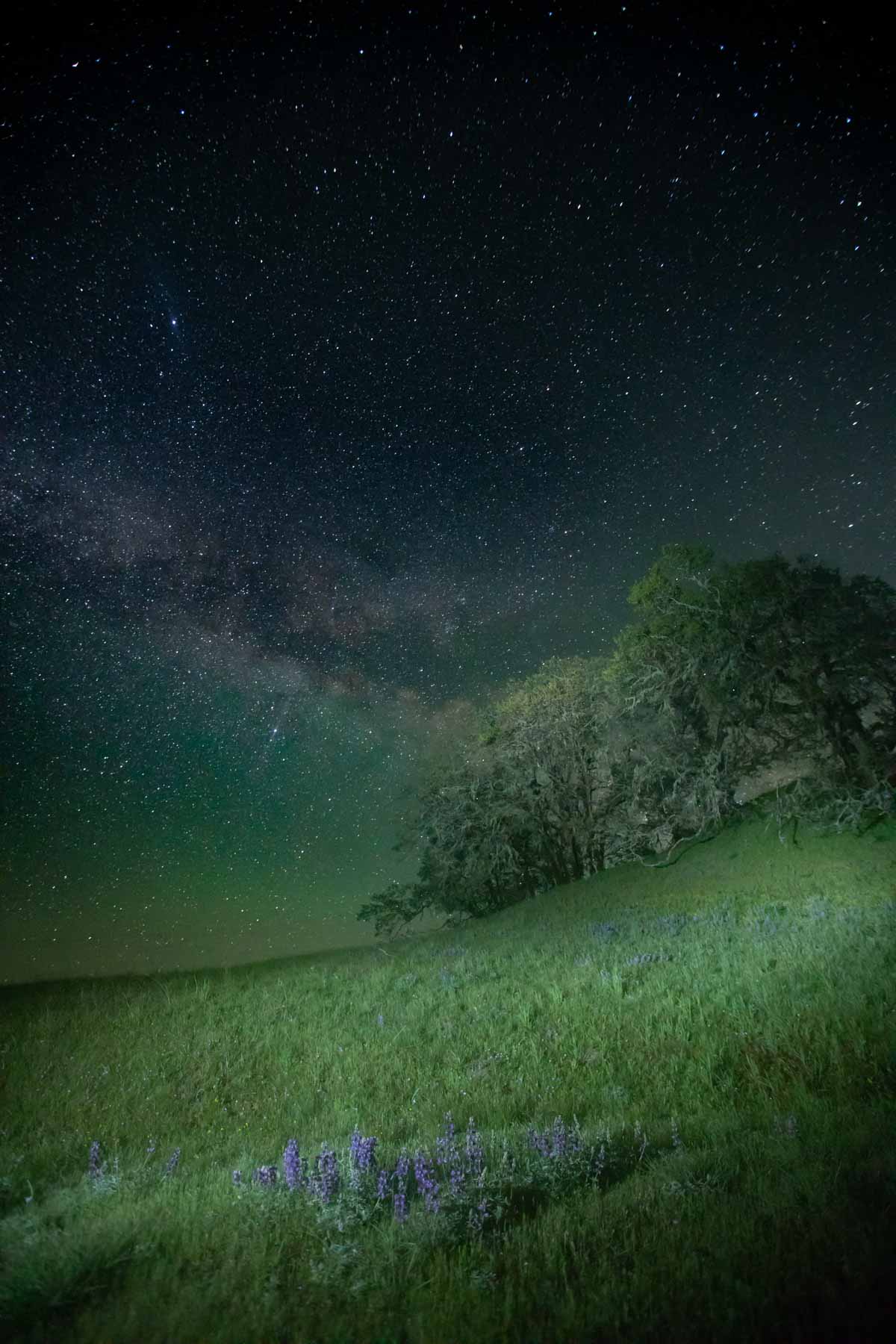 Lone Pine Ranch property picture 21 of 100