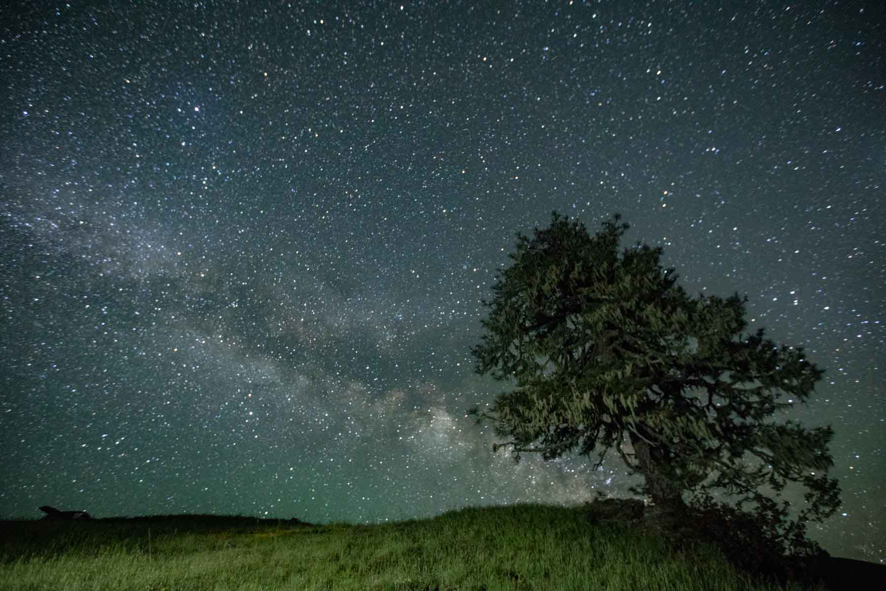 Lone Pine Ranch property picture 22 of 100
