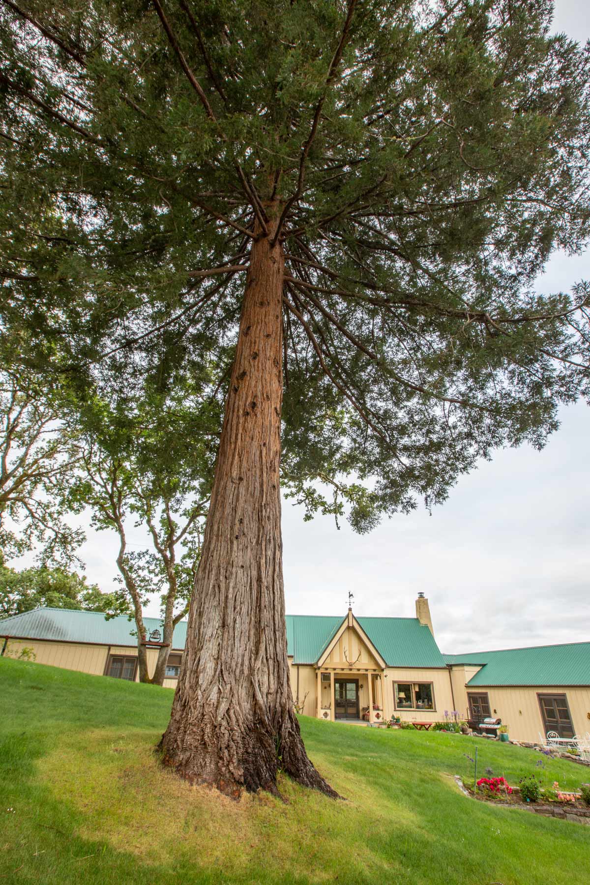 Lone Pine Ranch property picture 98 of 100