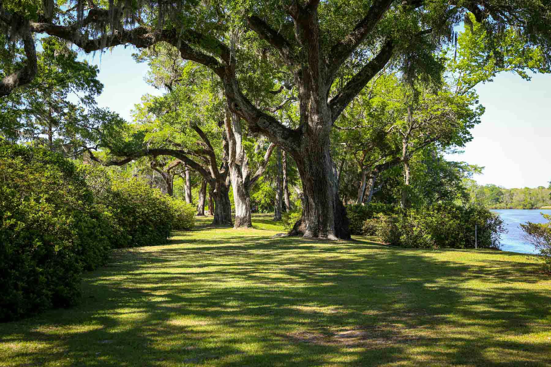 Chicora Wood Plantation property picture 15 of 116