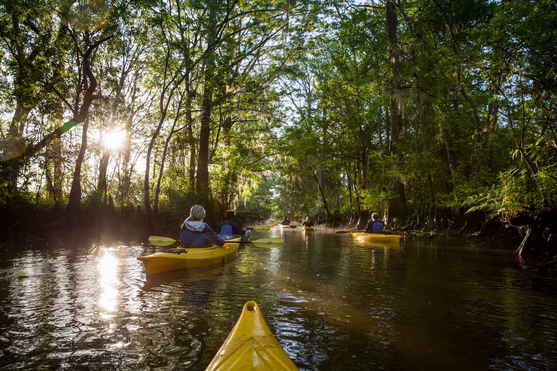Chicora Wood Plantation property picture 16 of 116