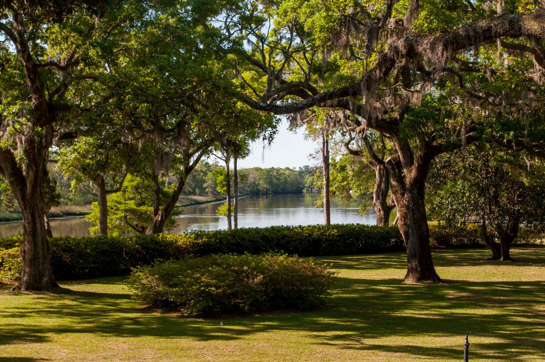 Chicora Wood Plantation property picture 29 of 116