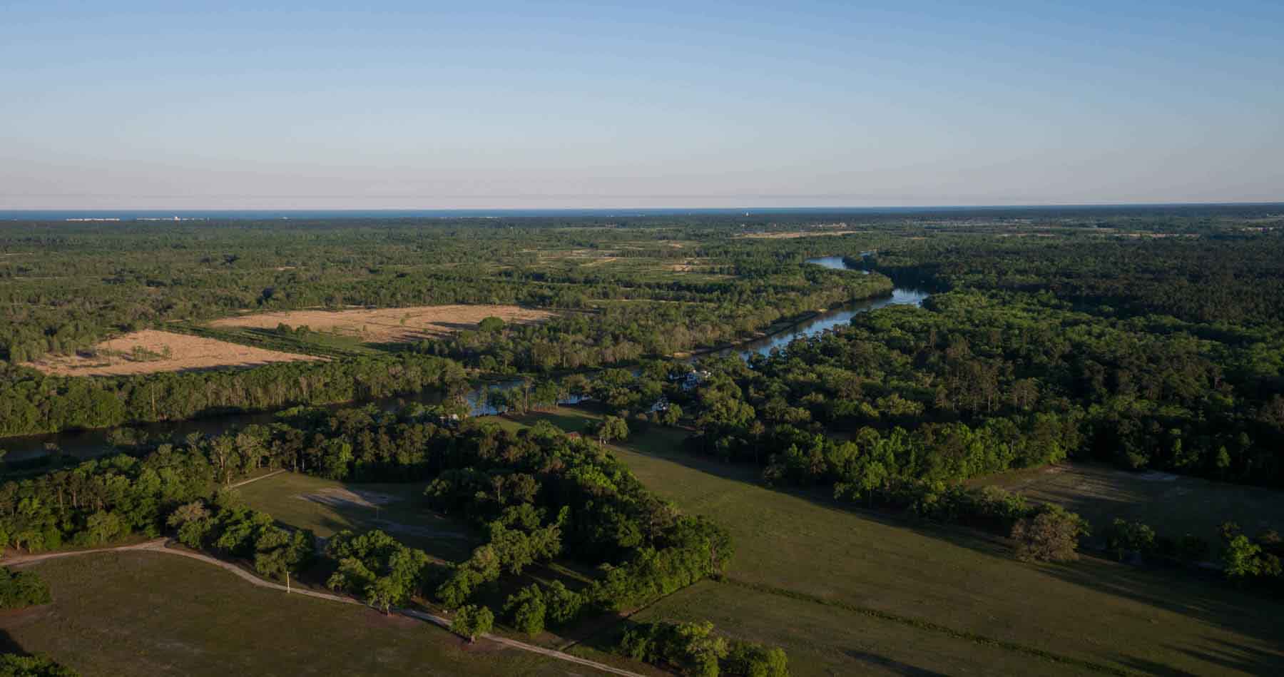 Chicora Wood Plantation property picture 86 of 116