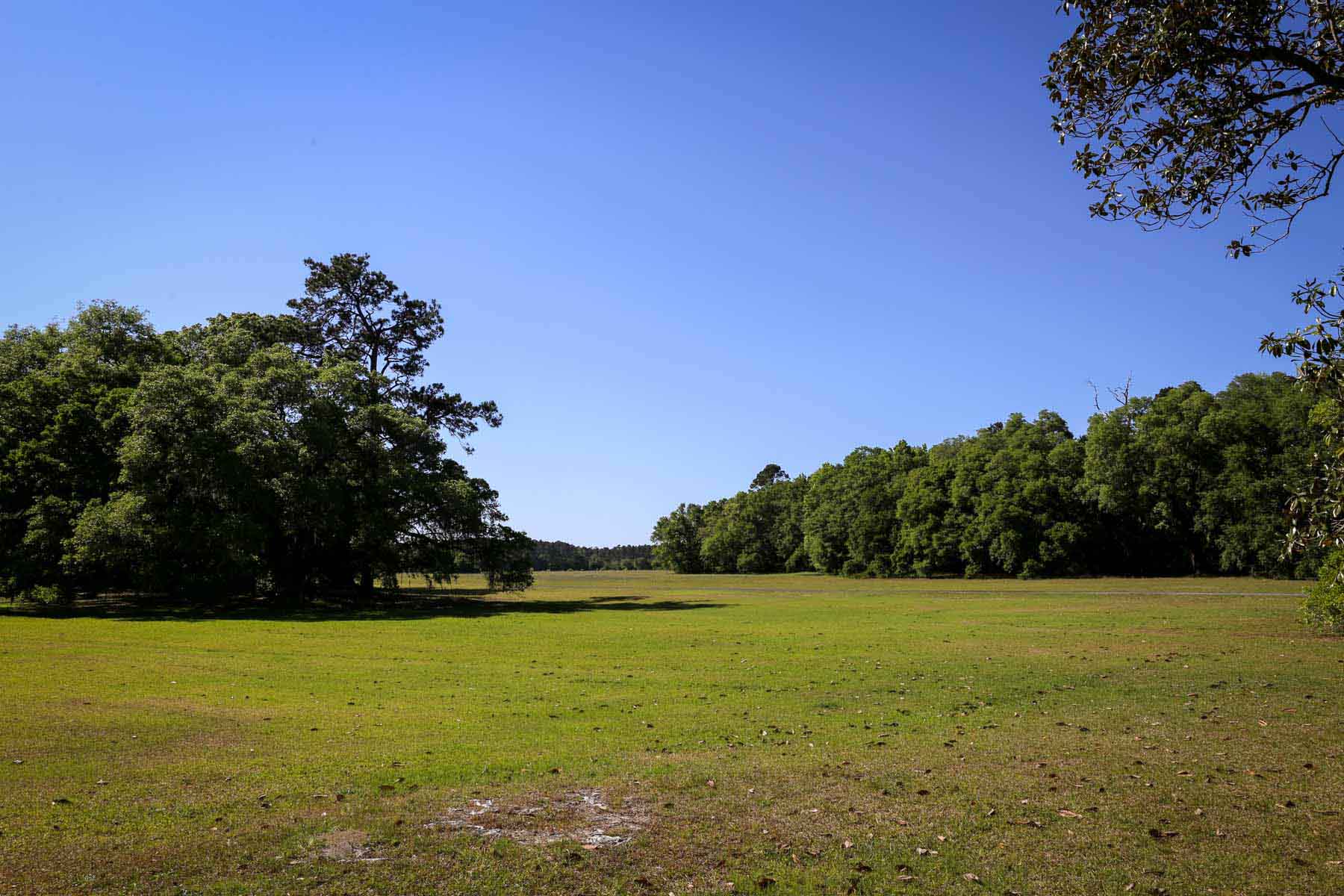 Chicora Wood Plantation property picture 99 of 116