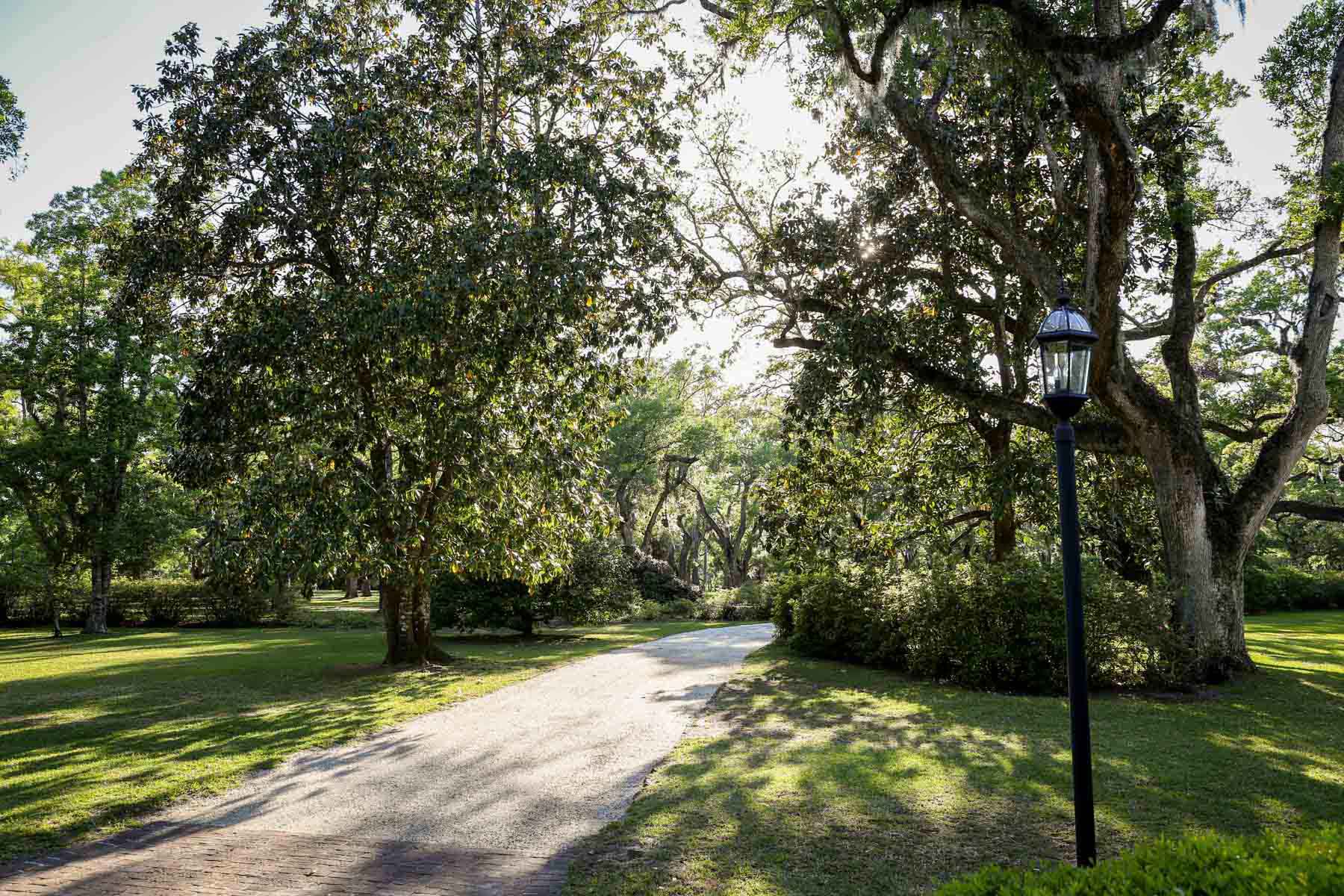 Chicora Wood Plantation property picture 101 of 116