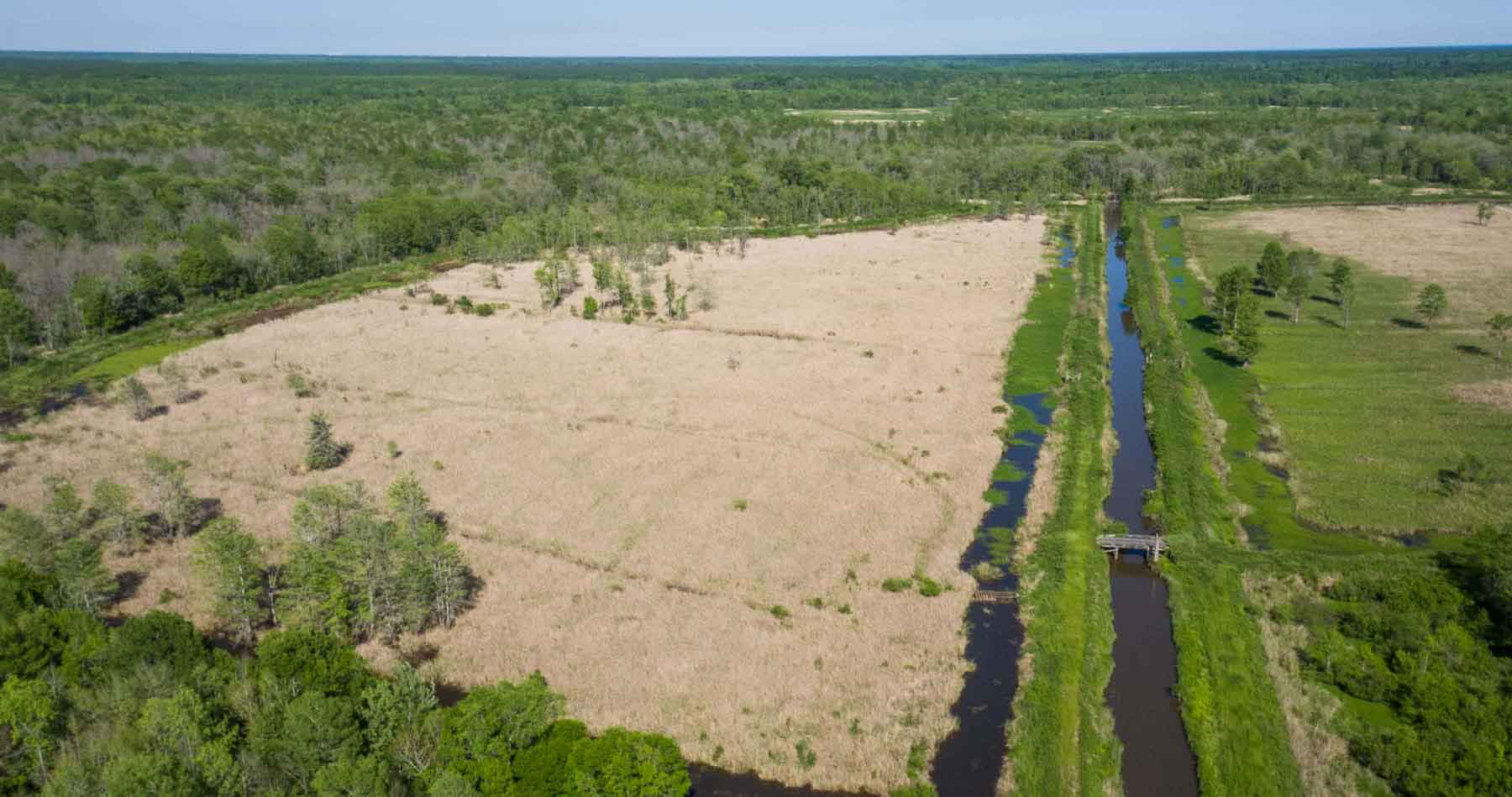Chicora Wood Plantation property picture 104 of 116