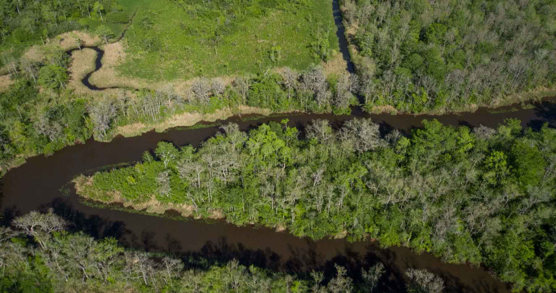 Chicora Wood Plantation property picture 106 of 116