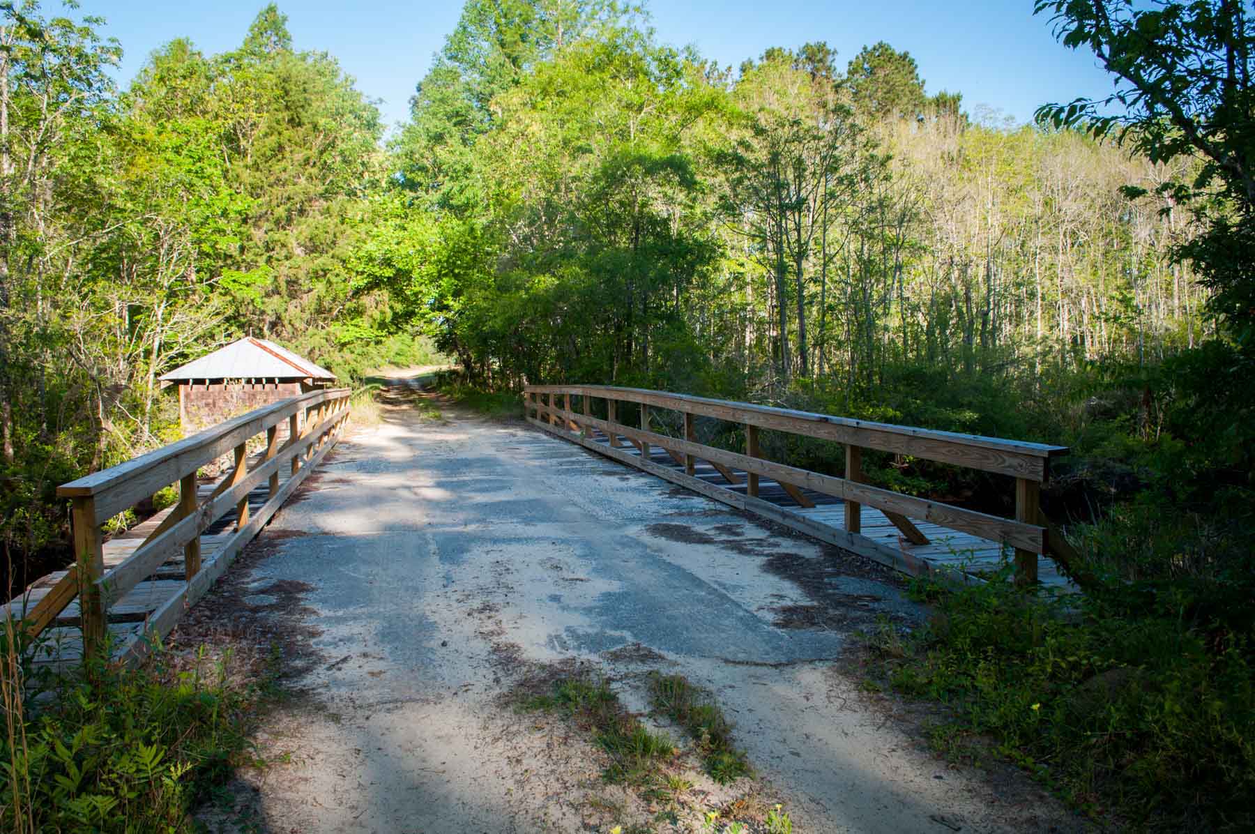 Chicora Wood Plantation property picture 107 of 116